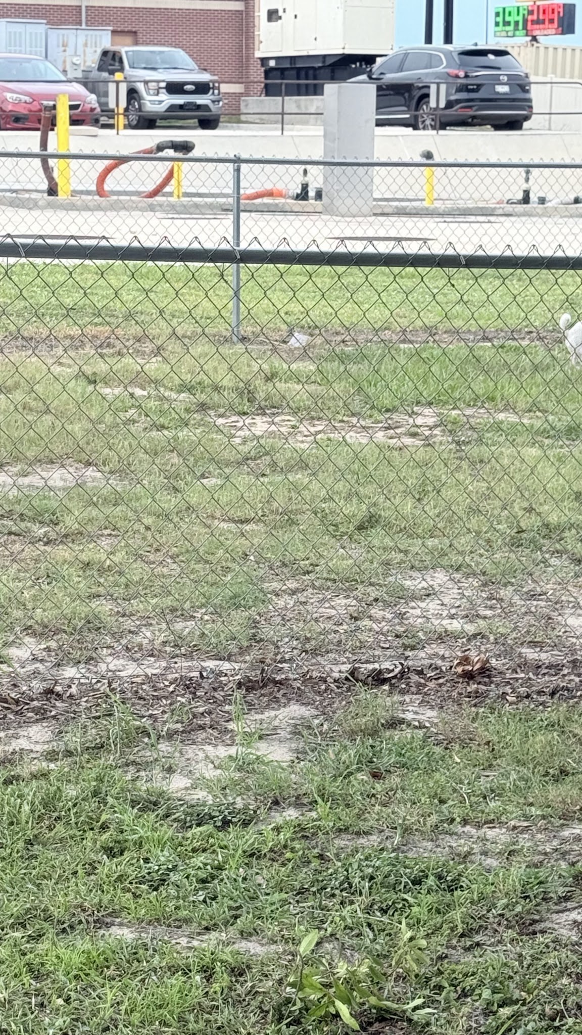 Dog Park at Love's Travel Stops - Polk City, FL