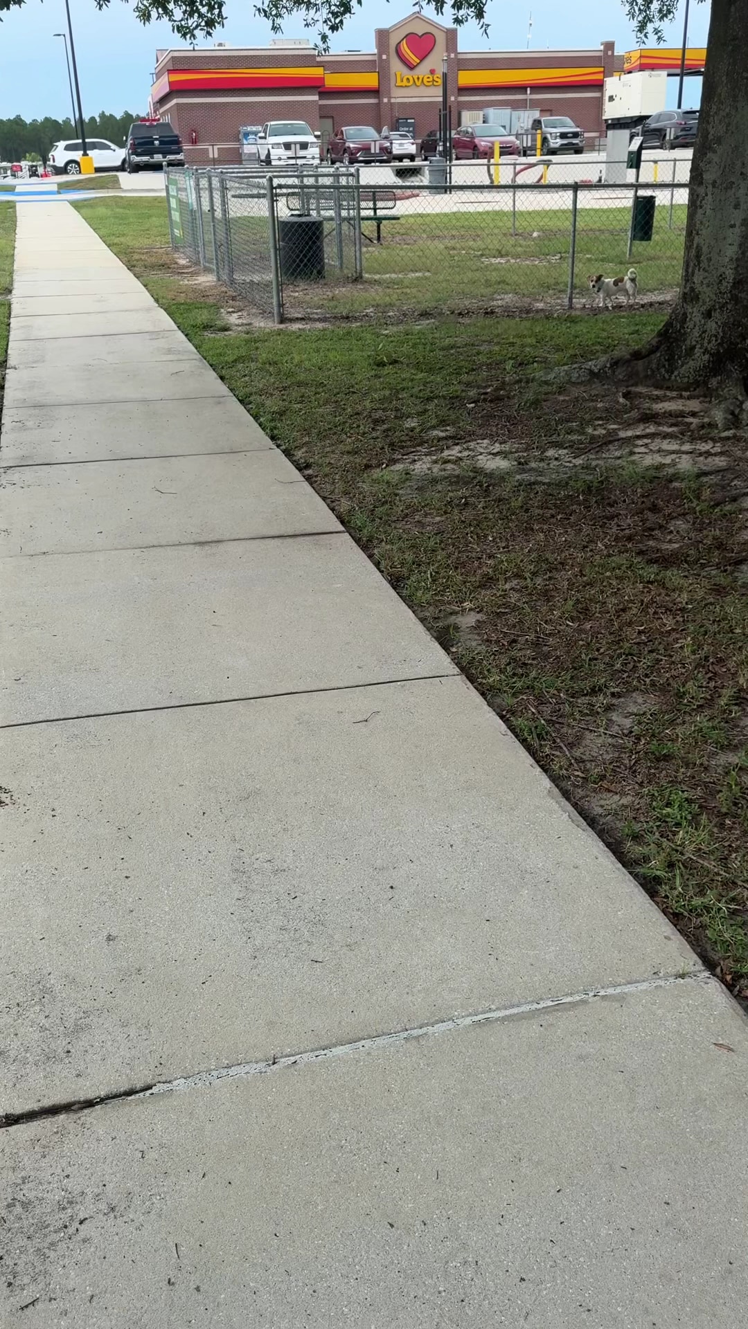Dog Park at Love's Travel Stops - Polk City, FL