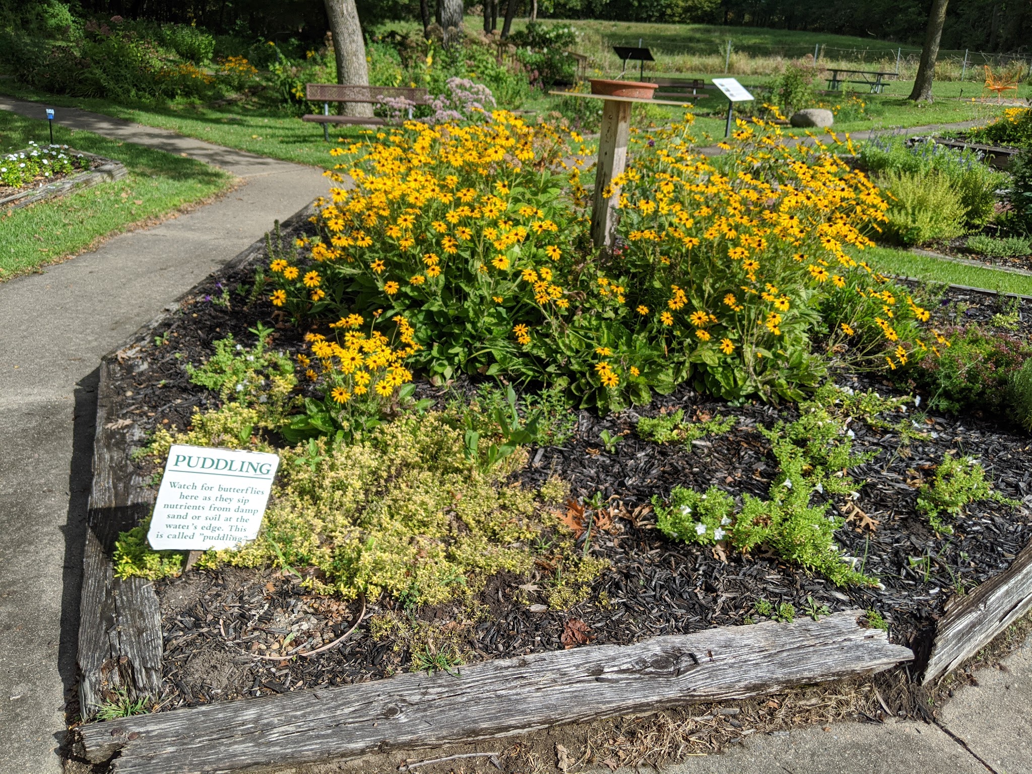 Saylorville Lake Butterfly Garden - Polk City, IA