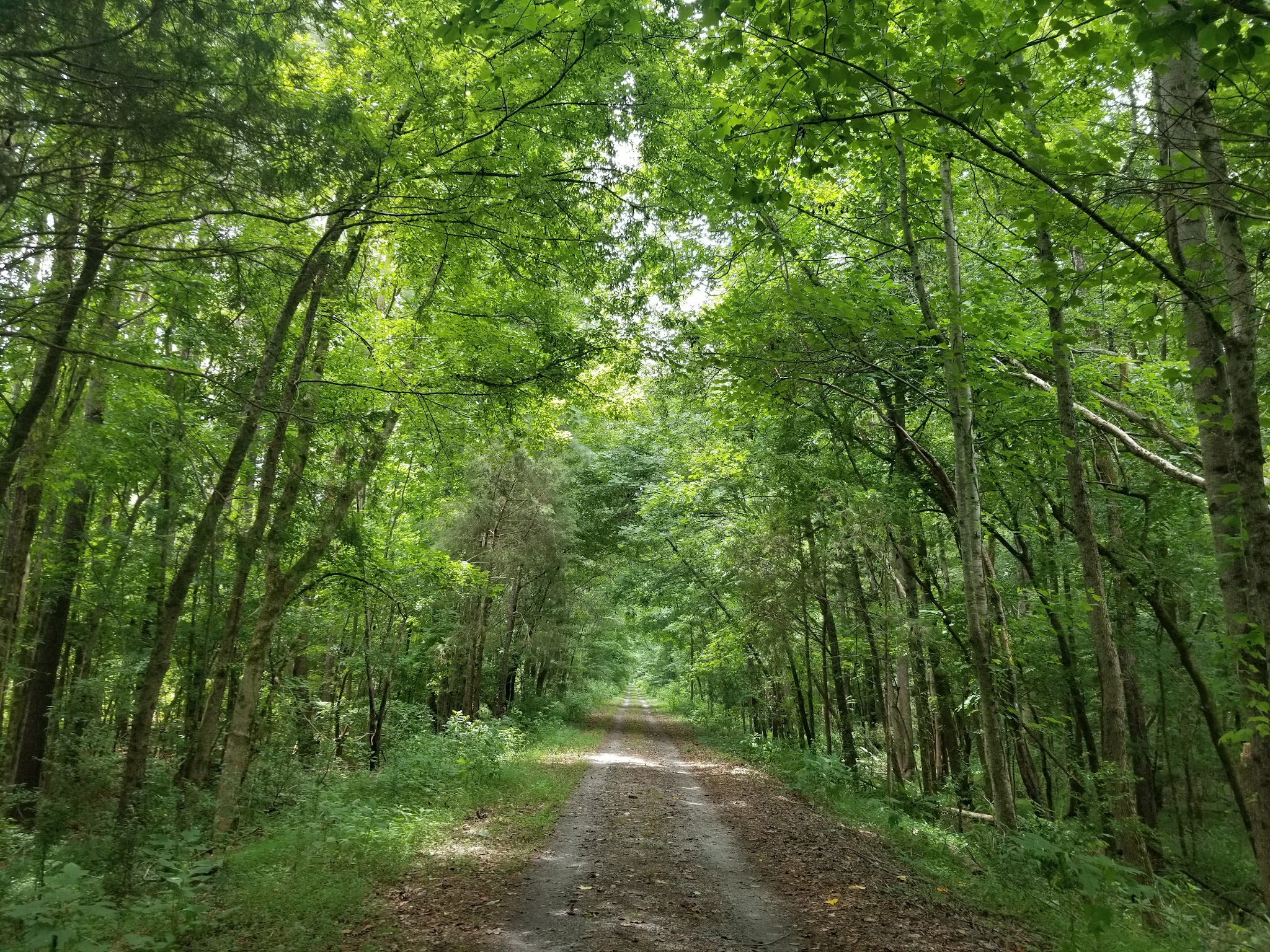 Peak To Prosperity Passage of the Palmetto Trail - Pomaria, SC