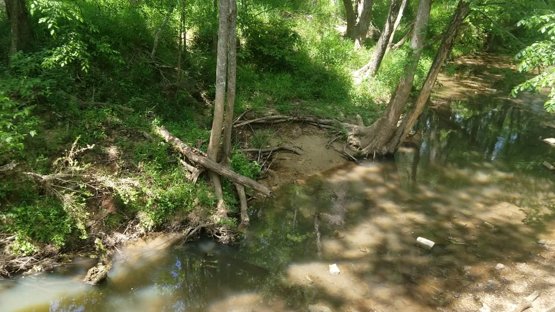 Peak To Prosperity Passage of the Palmetto Trail - Pomaria, SC