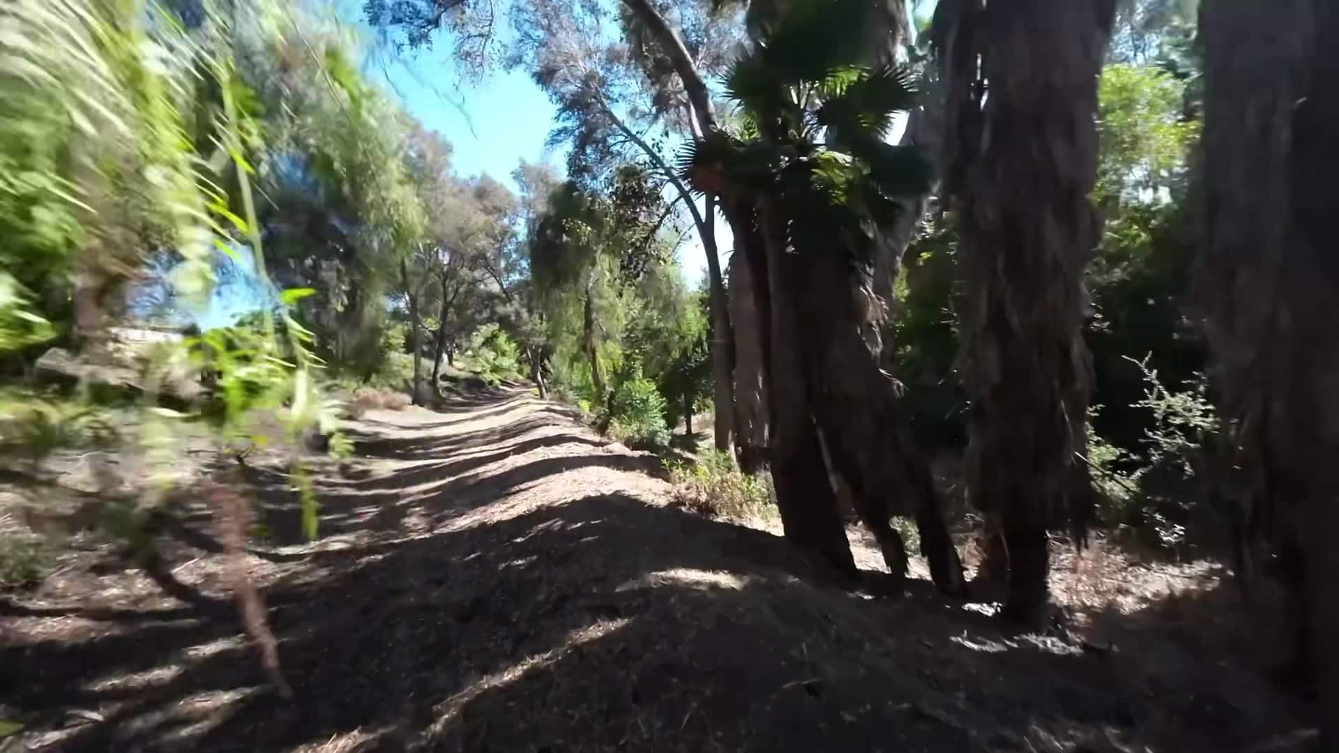 Phillips Ranch Riparian Greenbelt - Pomona, CA