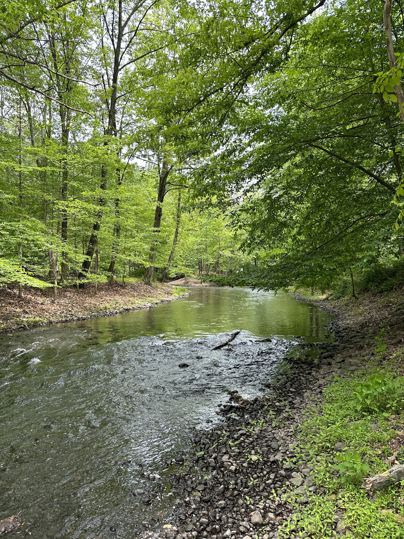 Hershfield Park - Pompton Lakes, NJ