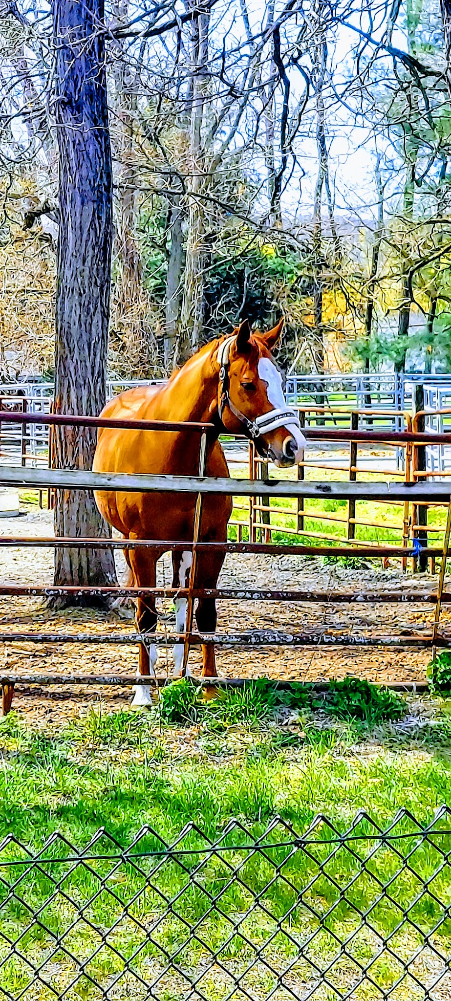 NYS&W Railway Bicycle and Pedestrian Path Access - Pompton Plains, NJ