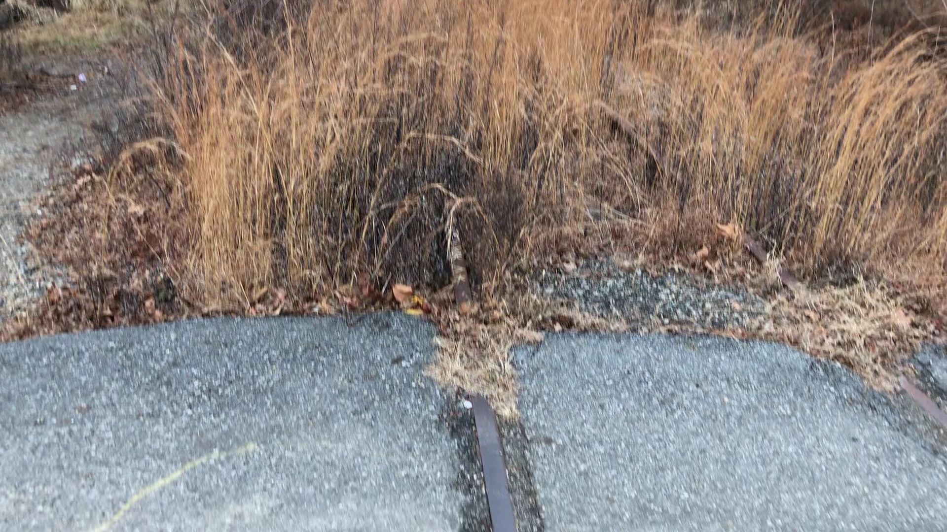 NYS&W Railway Bicycle and Pedestrian Path Access - Pompton Plains, NJ