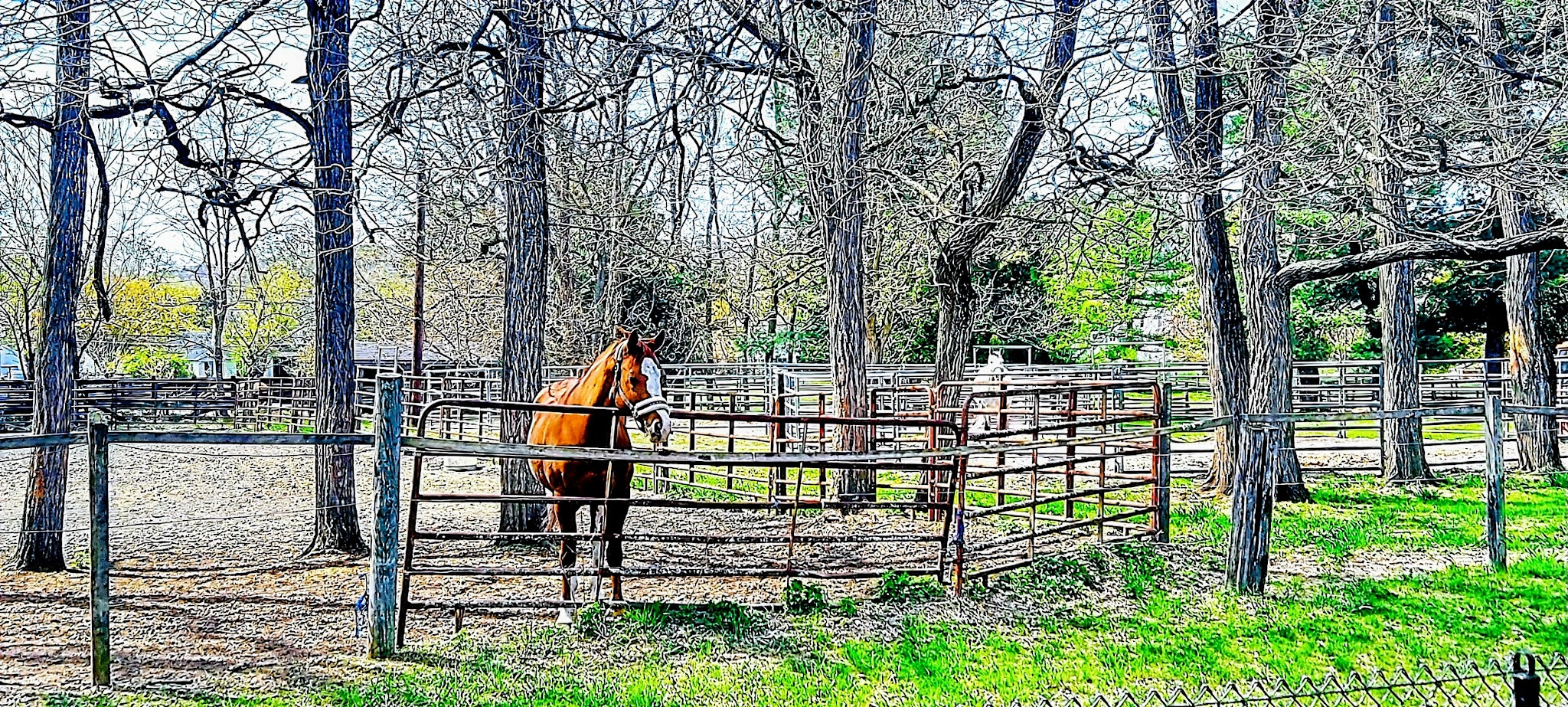 NYS&W Railway Bicycle and Pedestrian Path Access - Pompton Plains, NJ