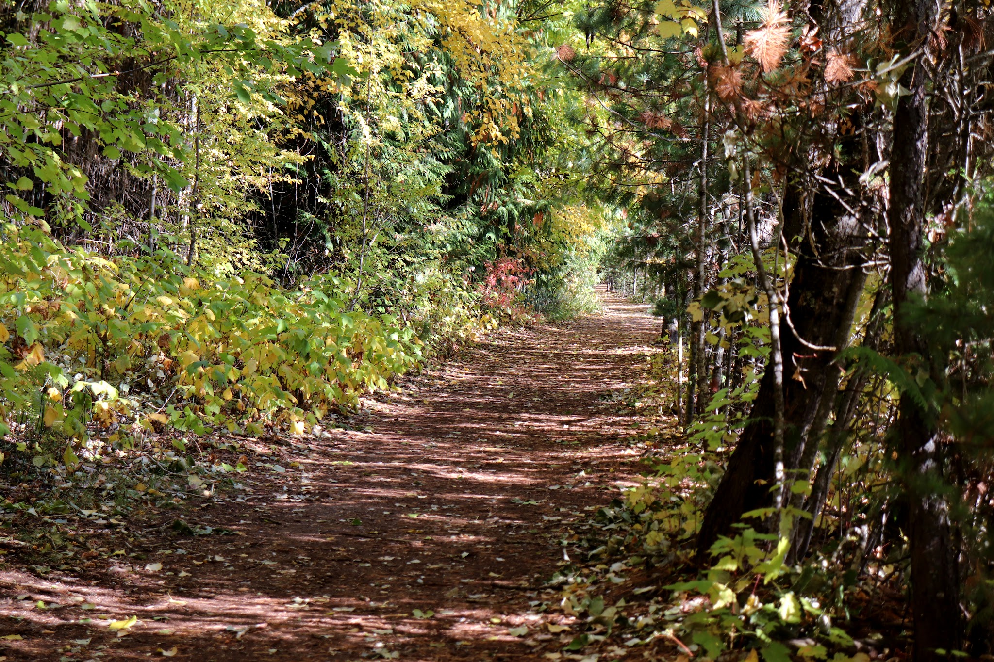Trailhead for Pend d'Oreille Bay Trail - Ponderay, ID