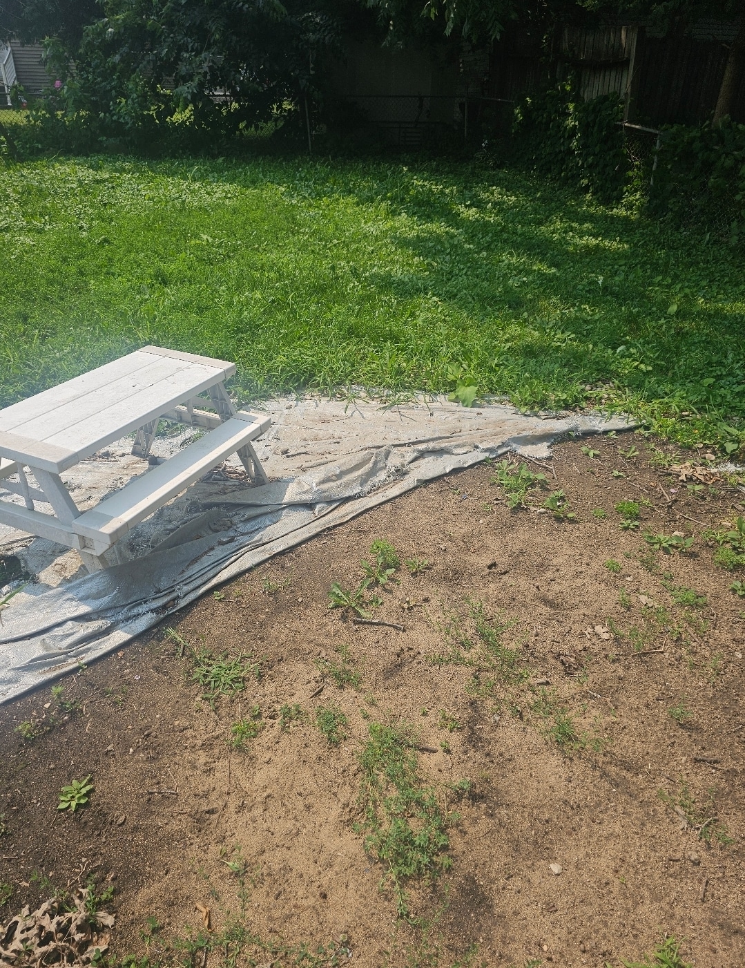 Poos the Boss Algonquin Dog Waste Removal Service - ,