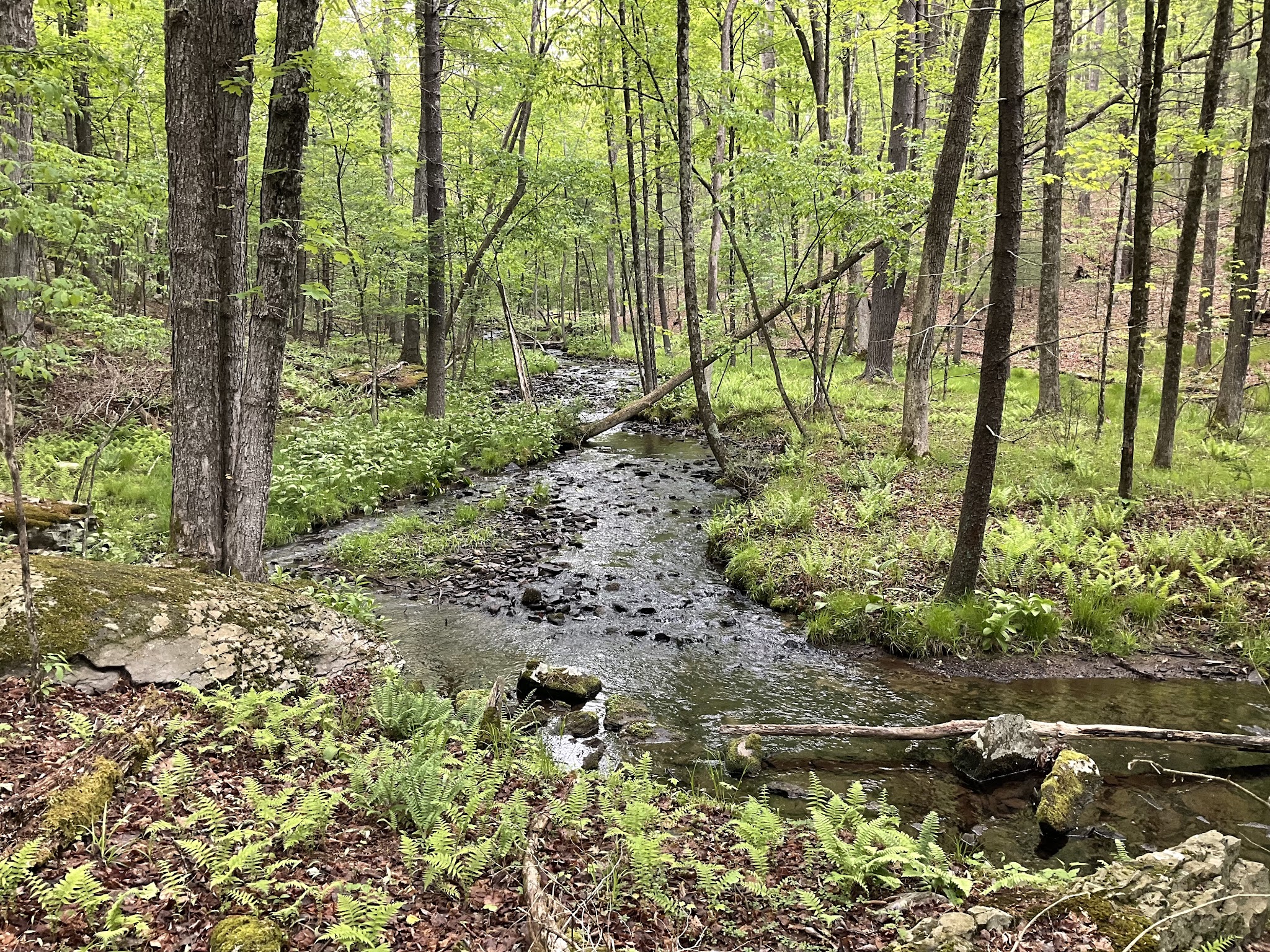 Port Jervis Watershed Park and Recreation Area - Port Jervis, NY