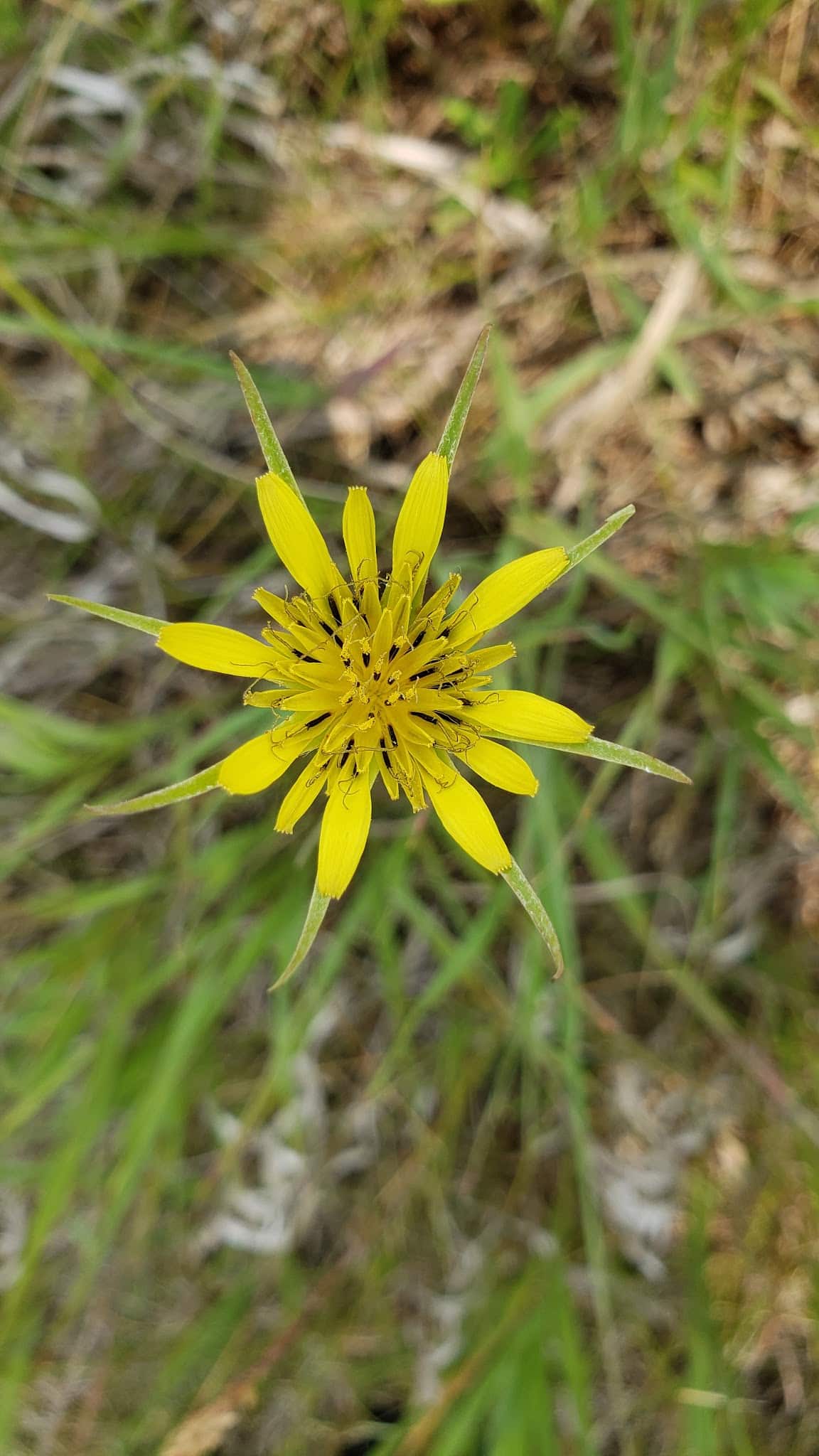 Halfmoon Park - Port Matilda, PA