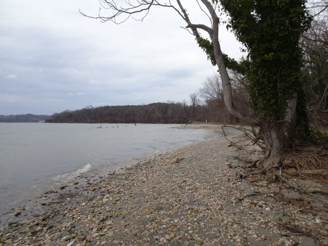 Chapel Point State Park - Port Tobacco, MD