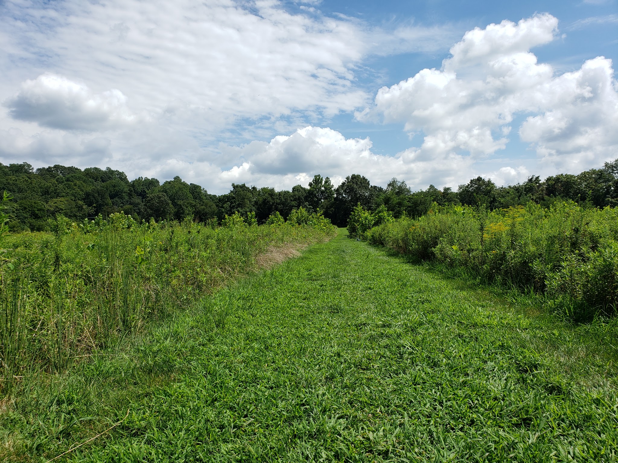 Port Tobacco River Park - Port Tobacco, MD