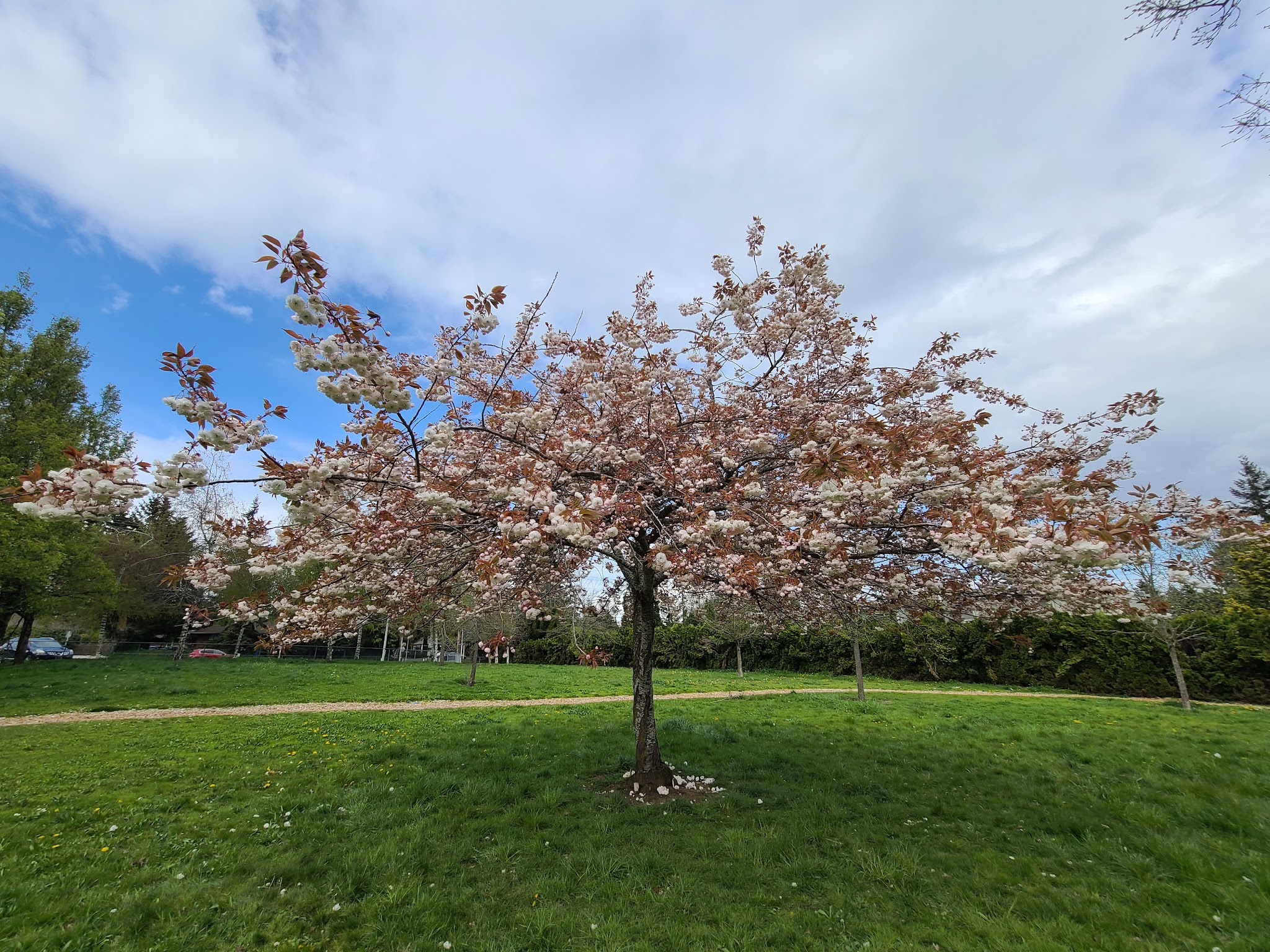 Glenfair Park - Portland, OR