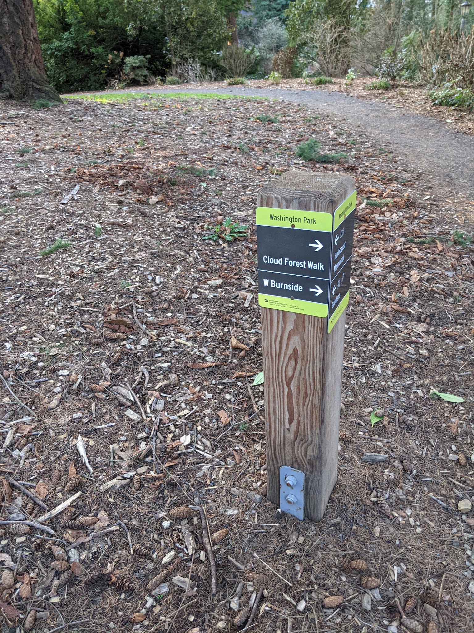 Stearns Canyon Trails / Cloud Forest Walk - Portland, OR
