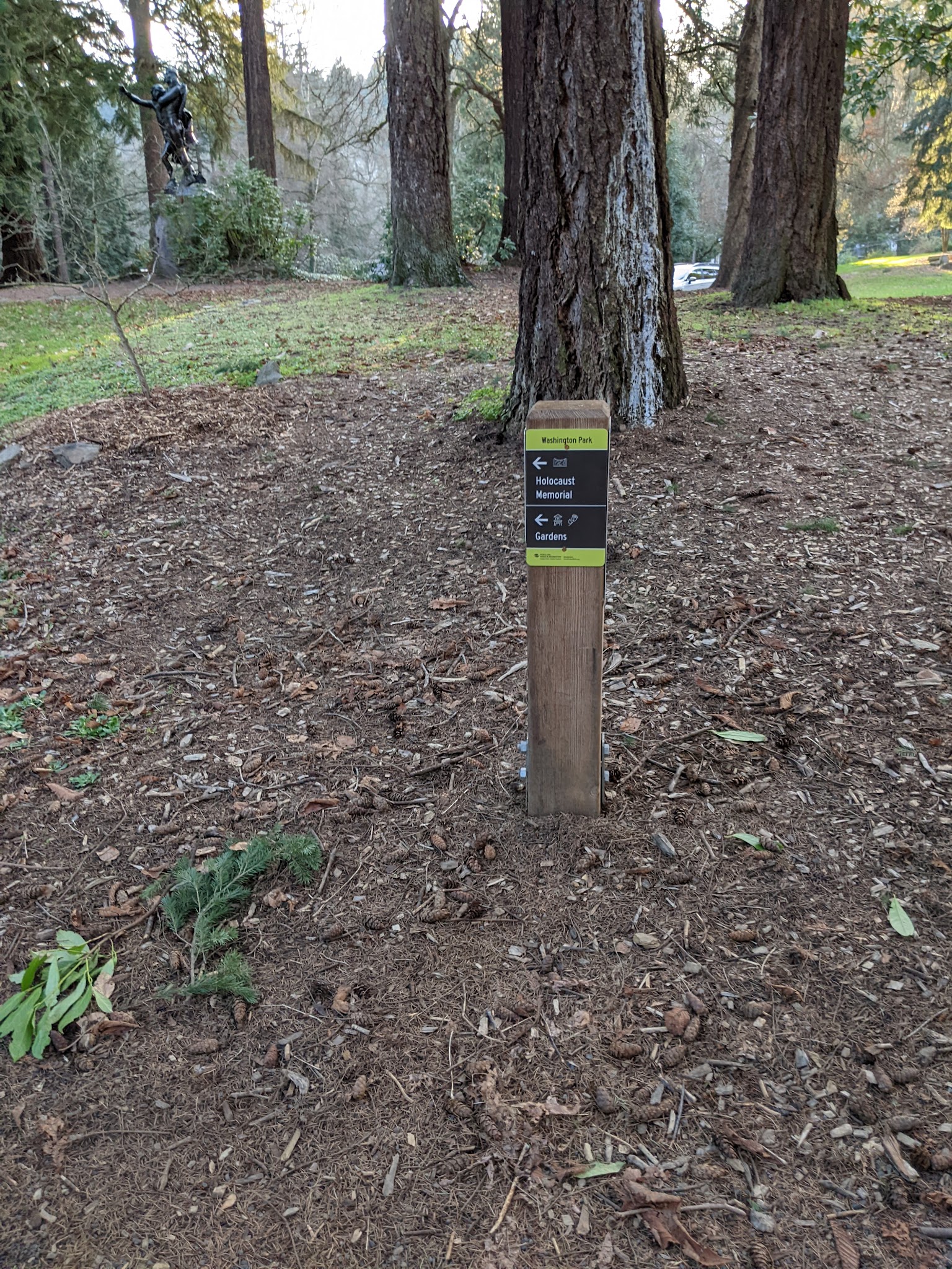 Stearns Canyon Trails / Cloud Forest Walk - Portland, OR