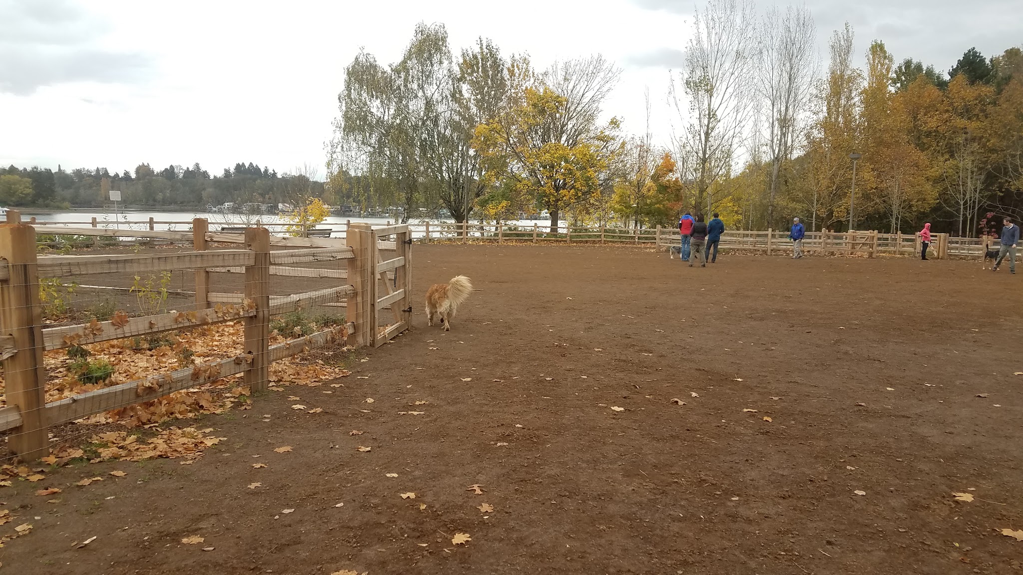 Willamette Park Off-Leash Dog Area - Portland, OR