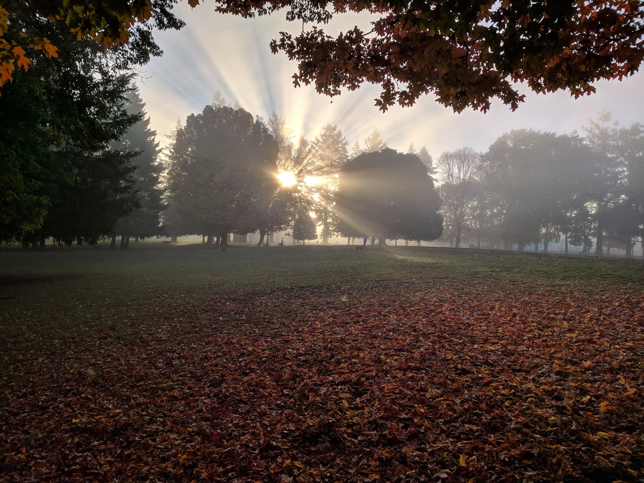 Woodstock Park - Portland, OR