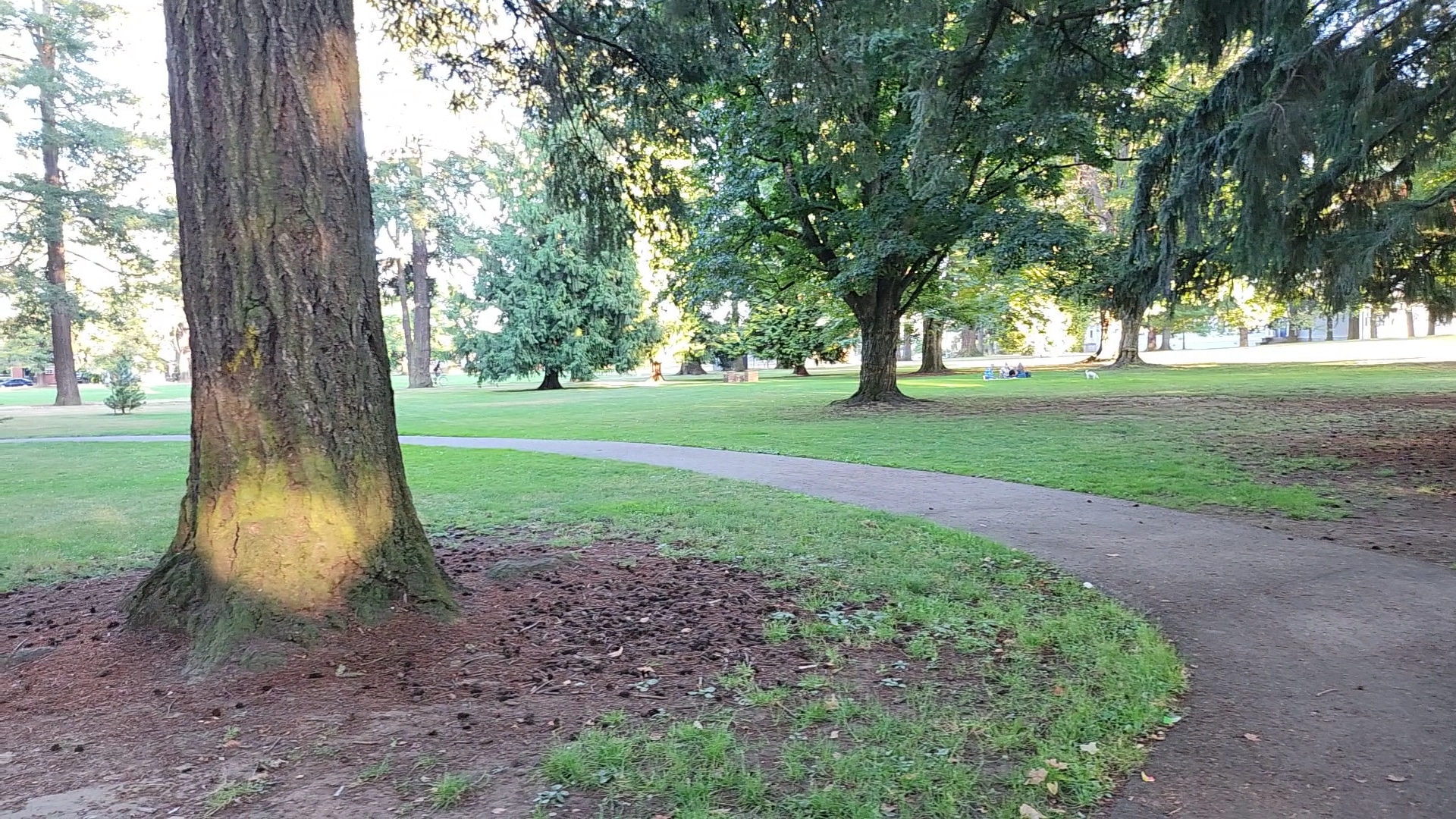 Woodstock Park - Portland, OR