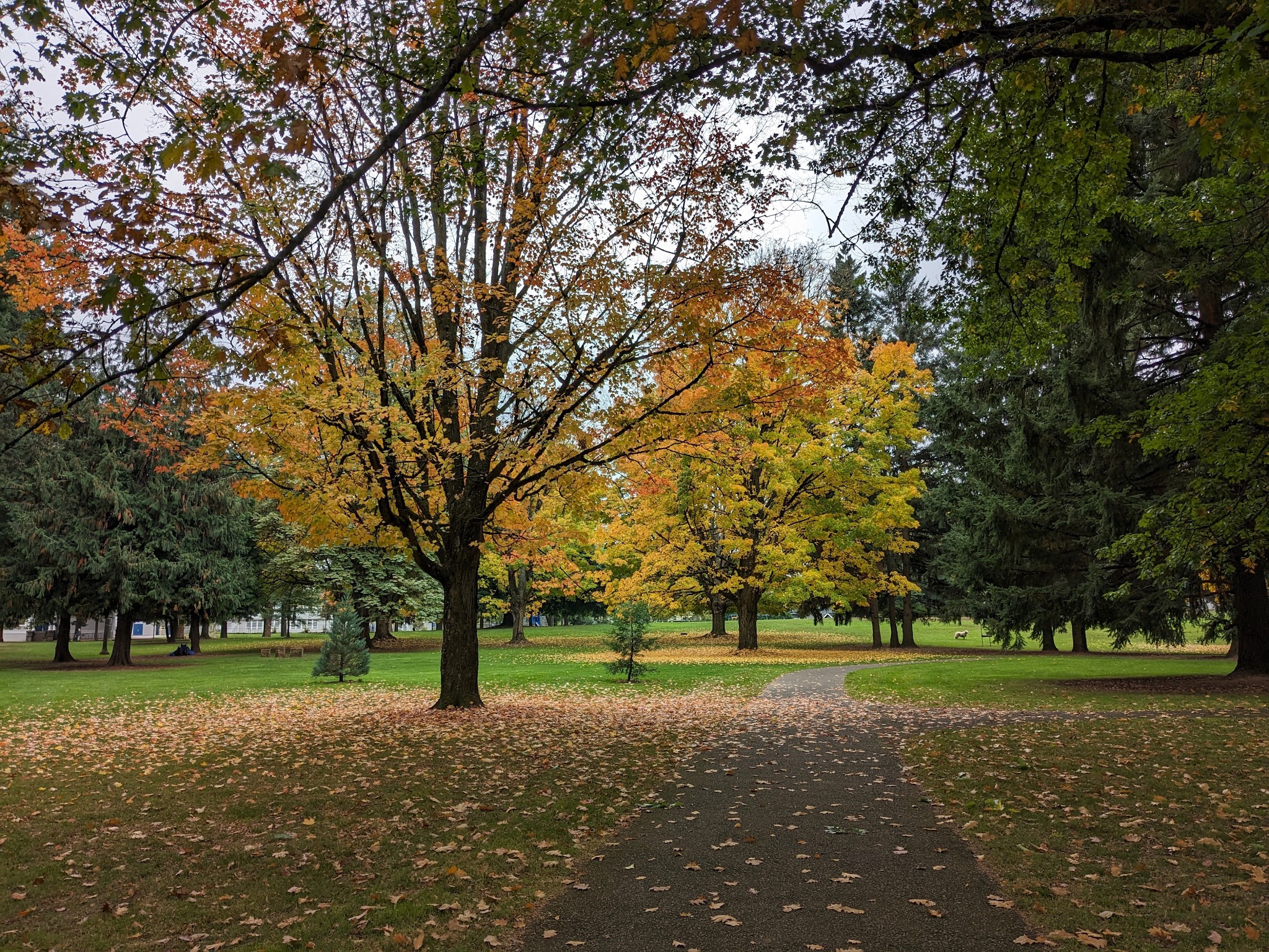 Woodstock Park - Portland, OR