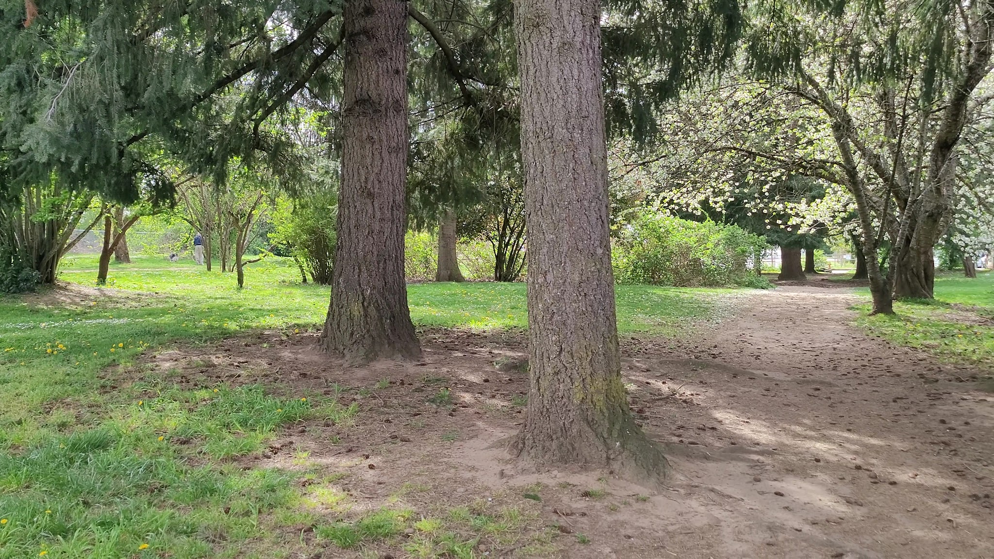 Cherry Park - Portland, OR