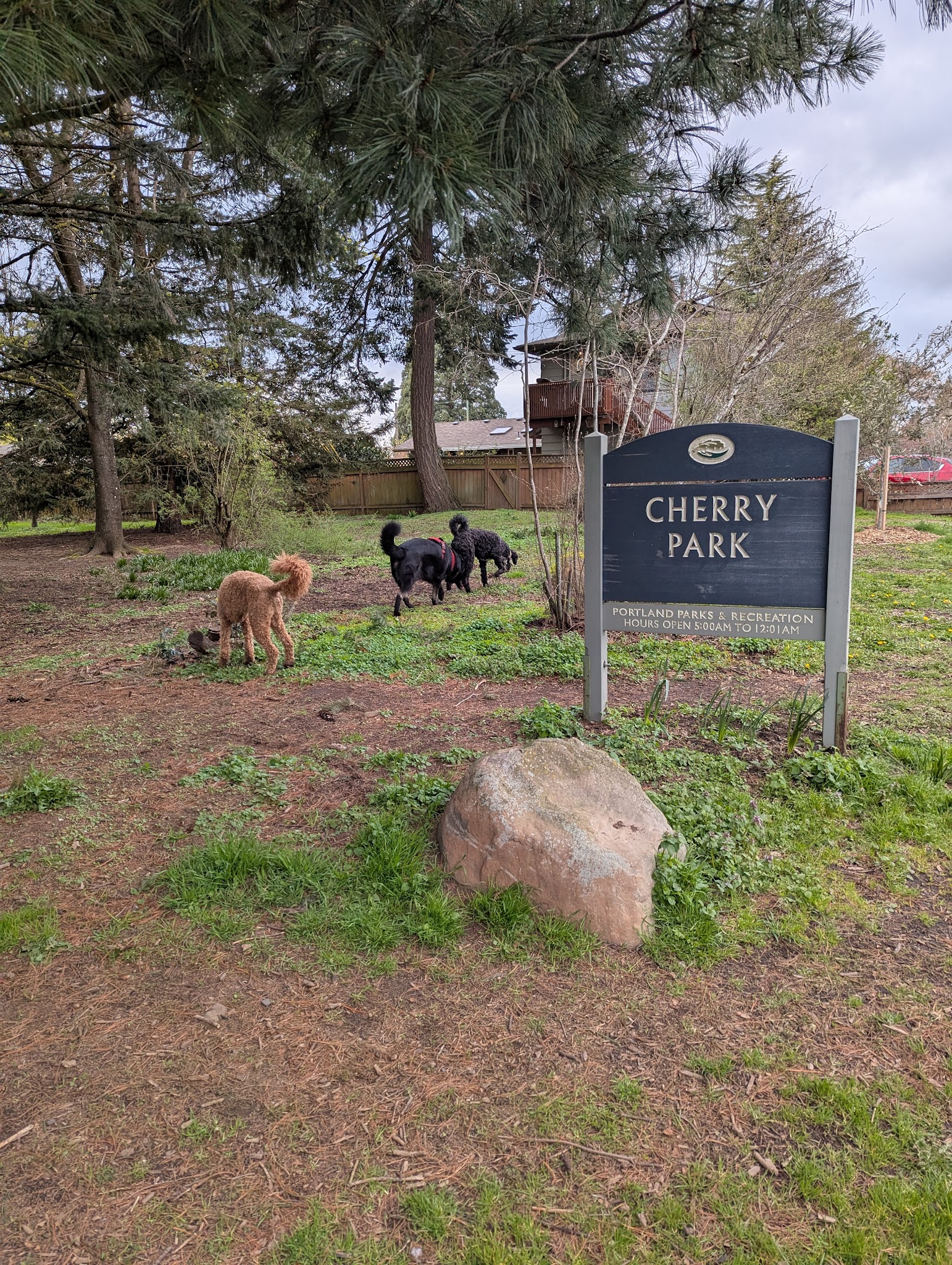 Cherry Park - Portland, OR