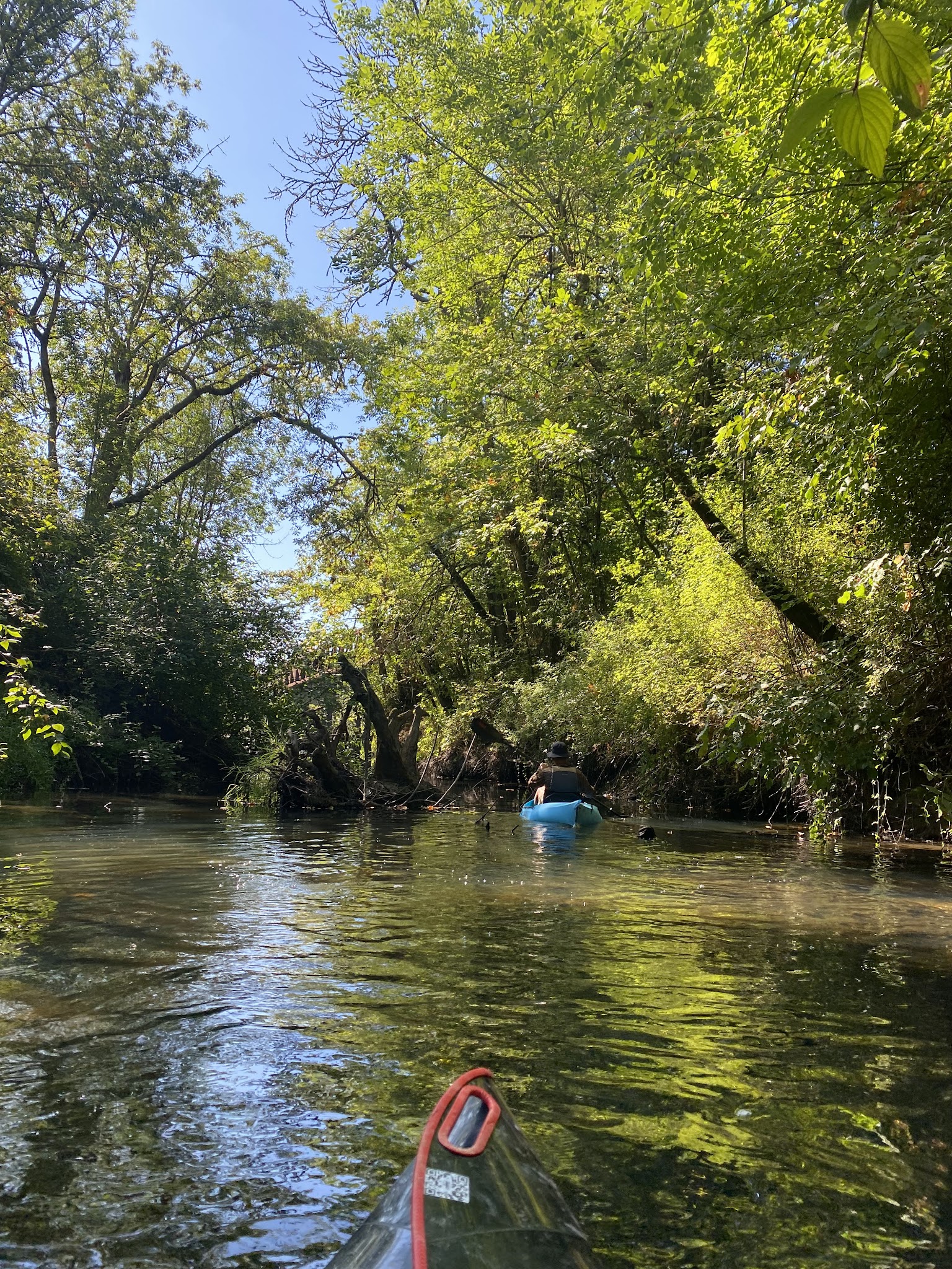 Durham City Park - Portland, OR