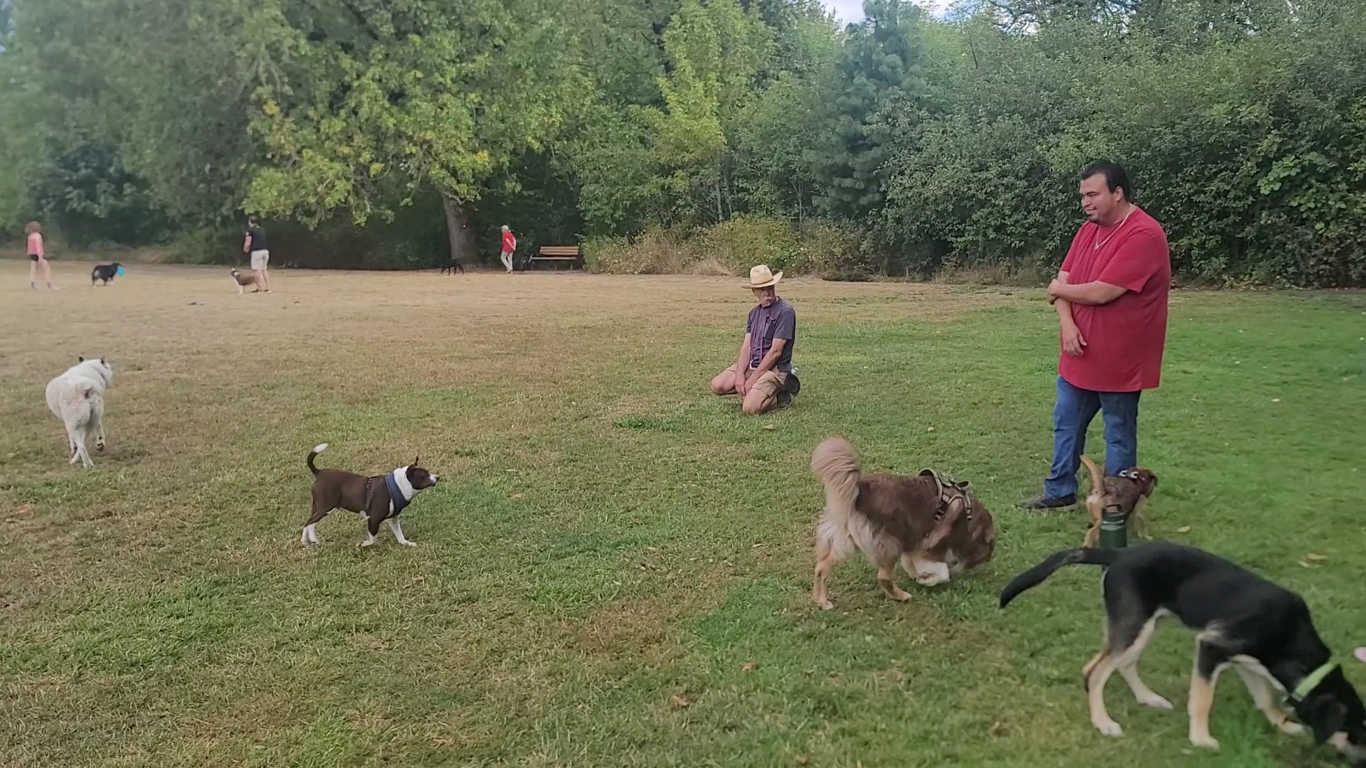 Durham Park Off Leash area - Portland, OR