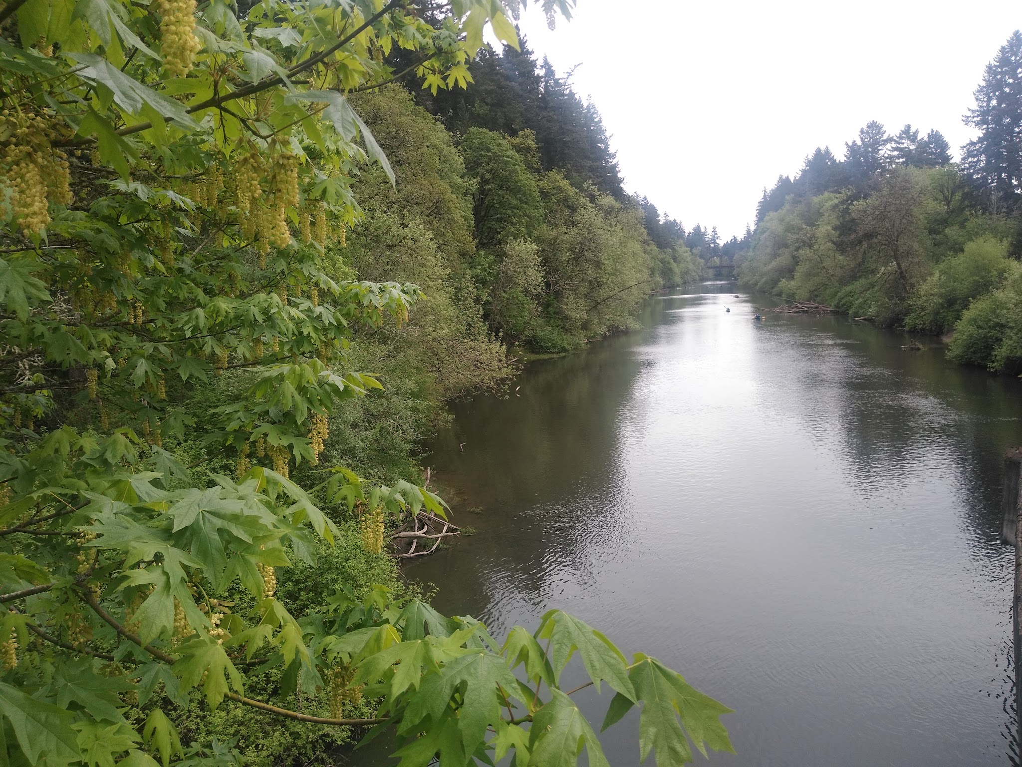 Durham Park Off Leash area - Portland, OR