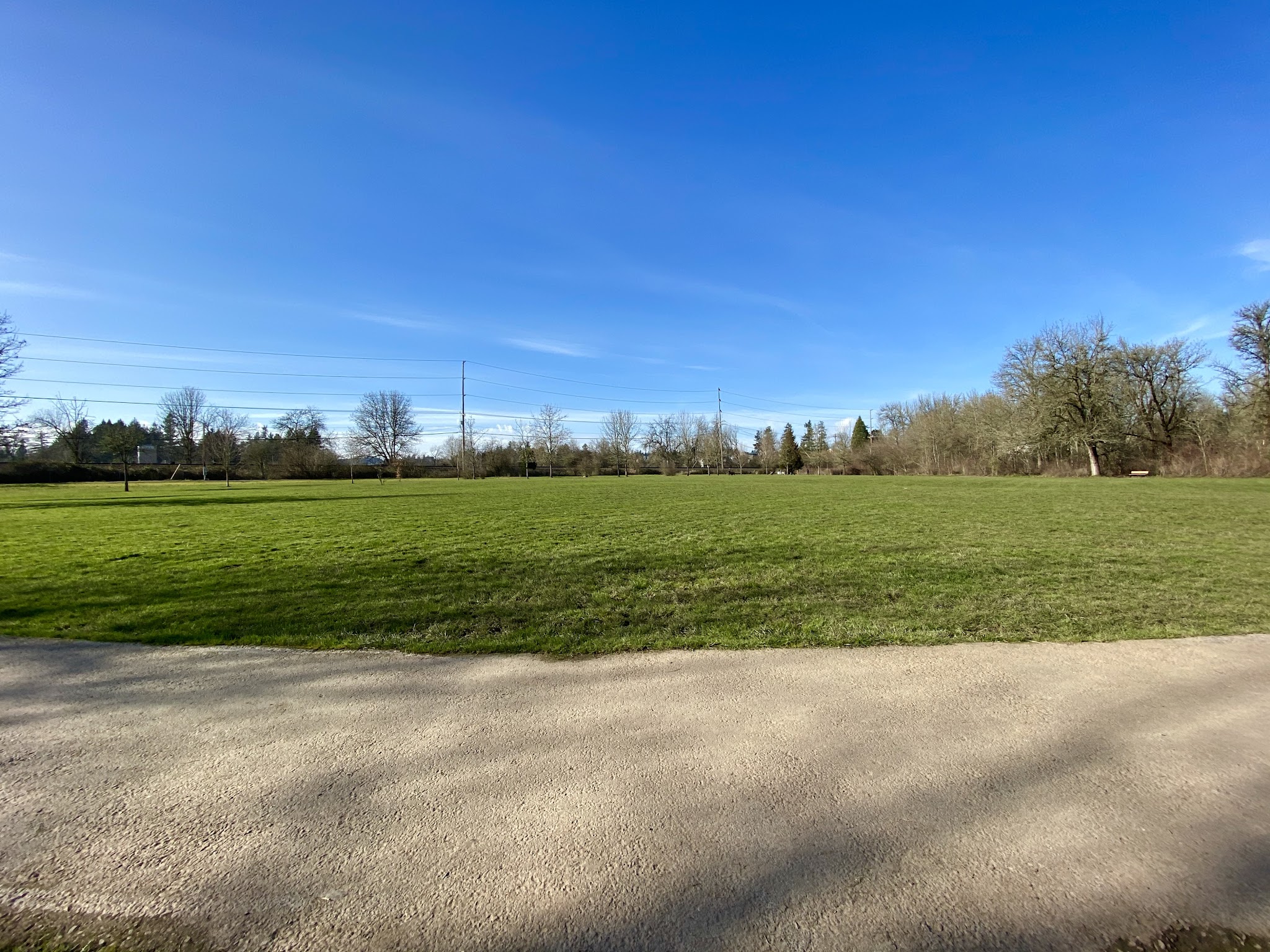 Durham Park Off Leash area - Portland, OR