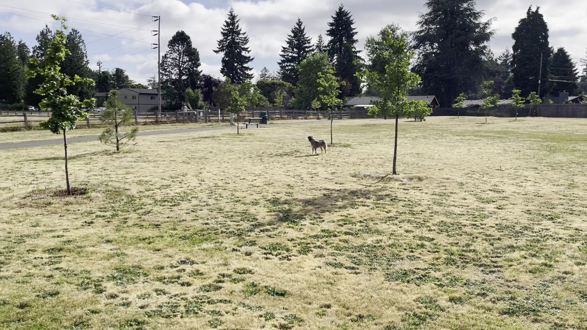 East Holladay Park - Portland, OR