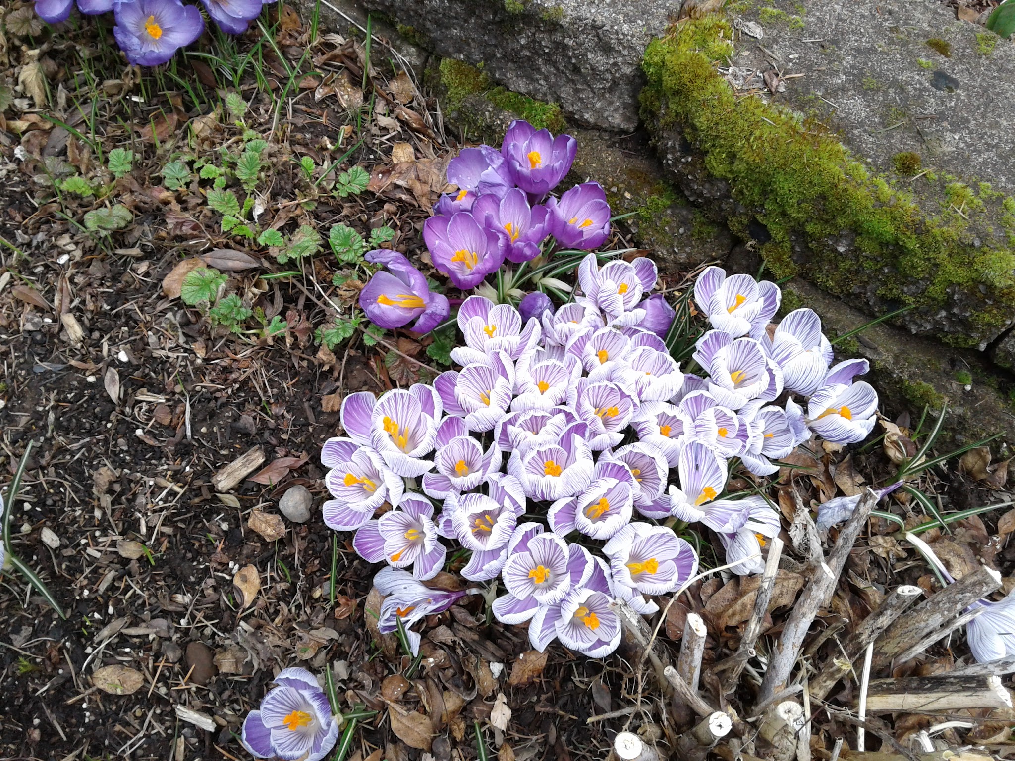 East Holladay Park - Portland, OR