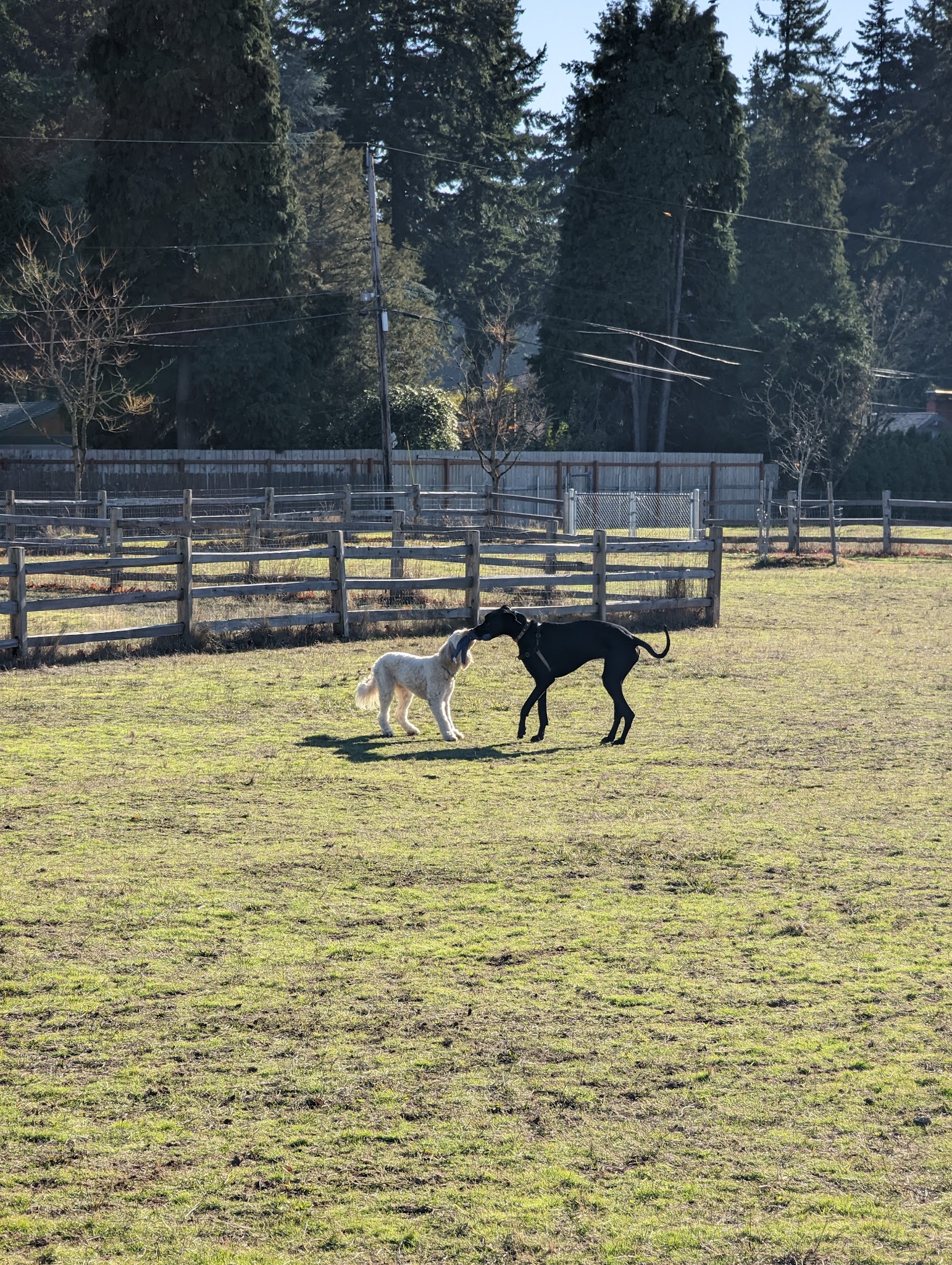 East Holladay Park - Portland, OR