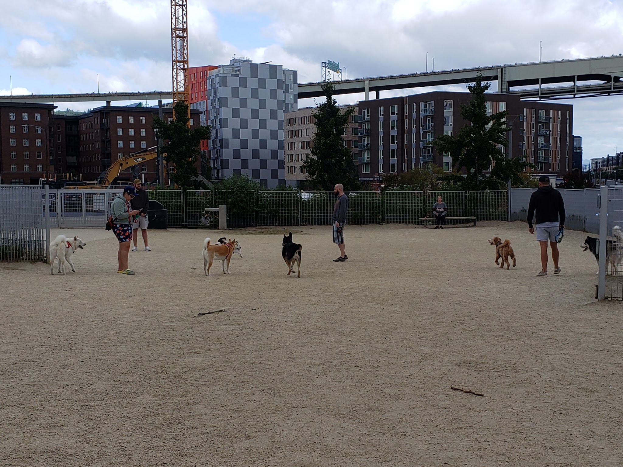 Fenced Off-Leash Dog Area - Portland, OR