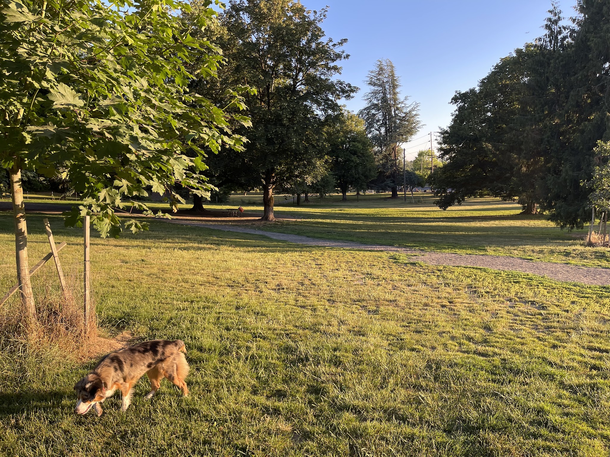 Fenced Off-Leash Dog Park - Portland, OR