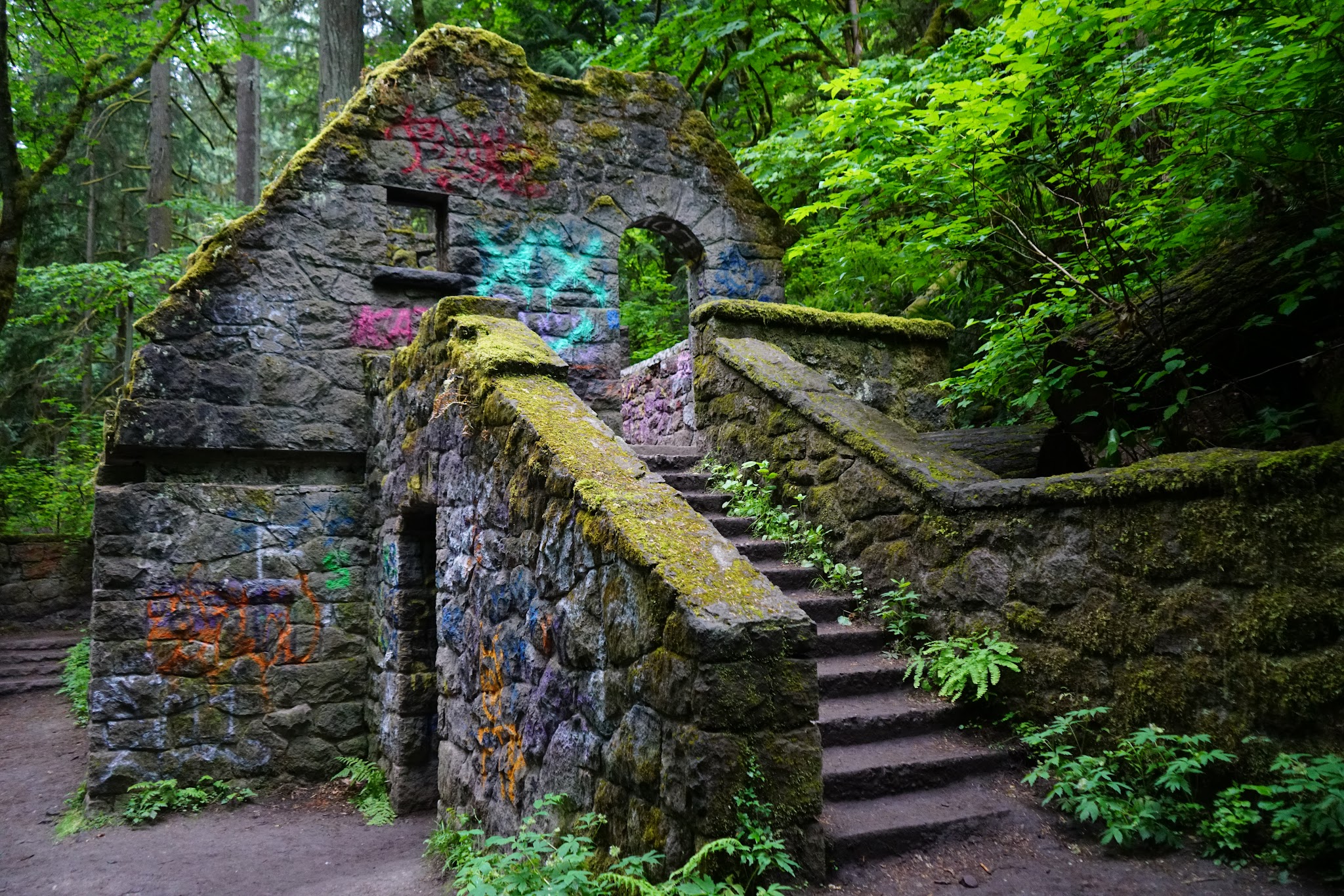 Forest Park - Portland, OR