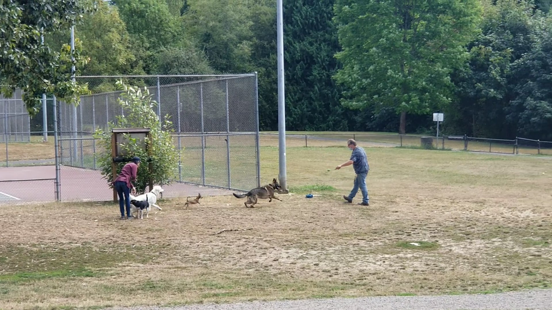 Gabriel Off-Leash Dog Park - Portland, OR