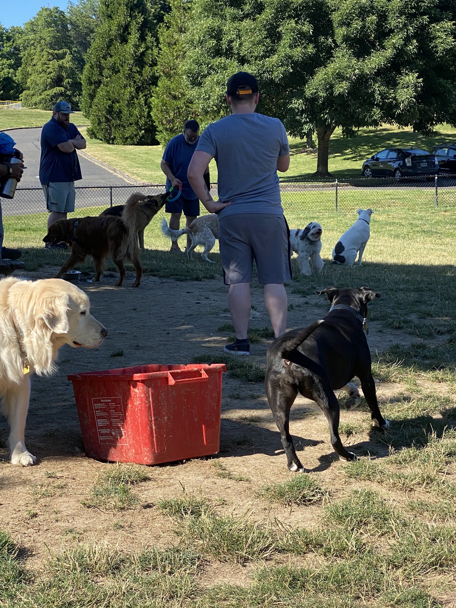 Gabriel Off-Leash Dog Park - Portland, OR