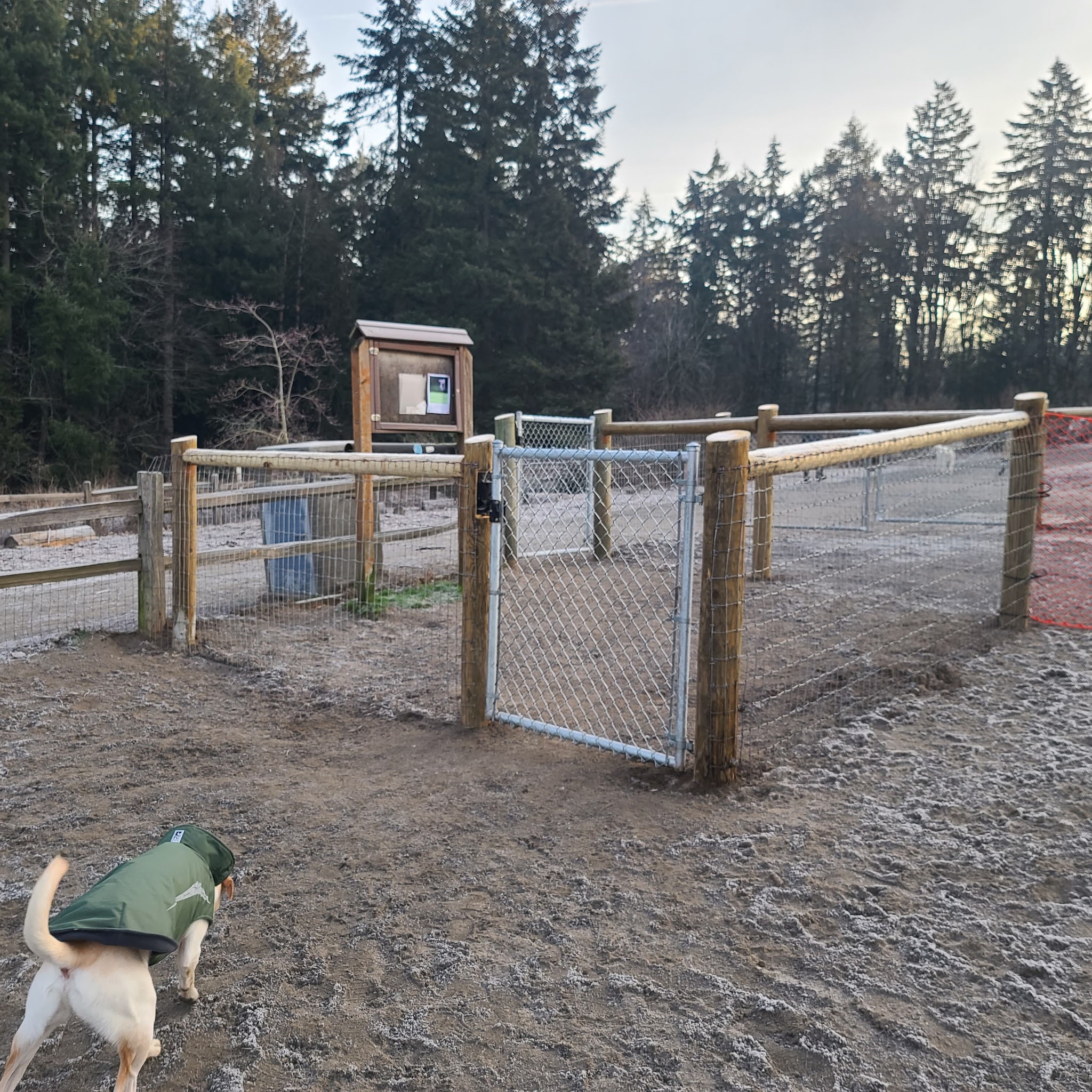 Gabriel Off-Leash Dog Park Winter - Portland, OR