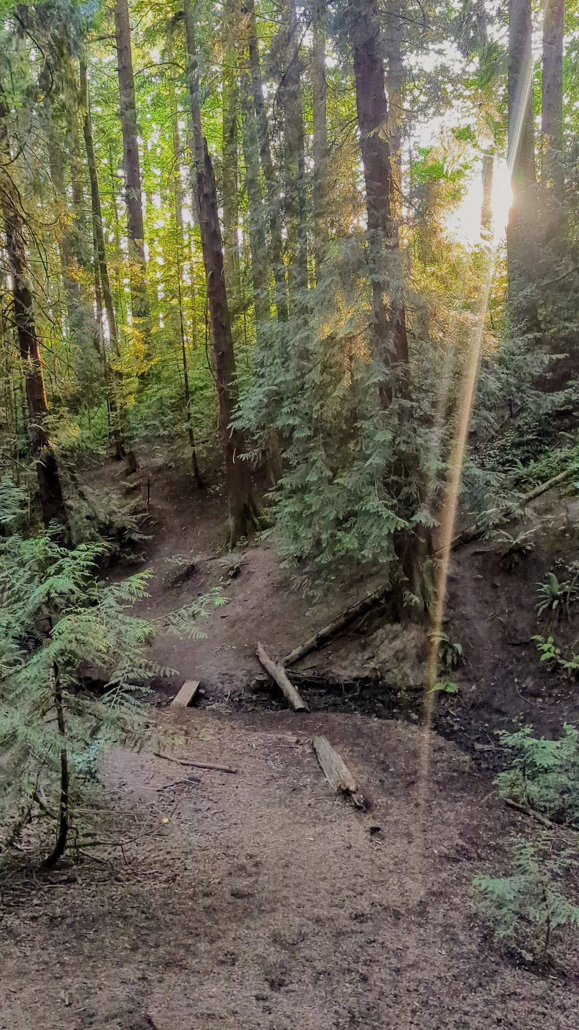Hillsdale Off-Leash Dog Area - Portland, OR