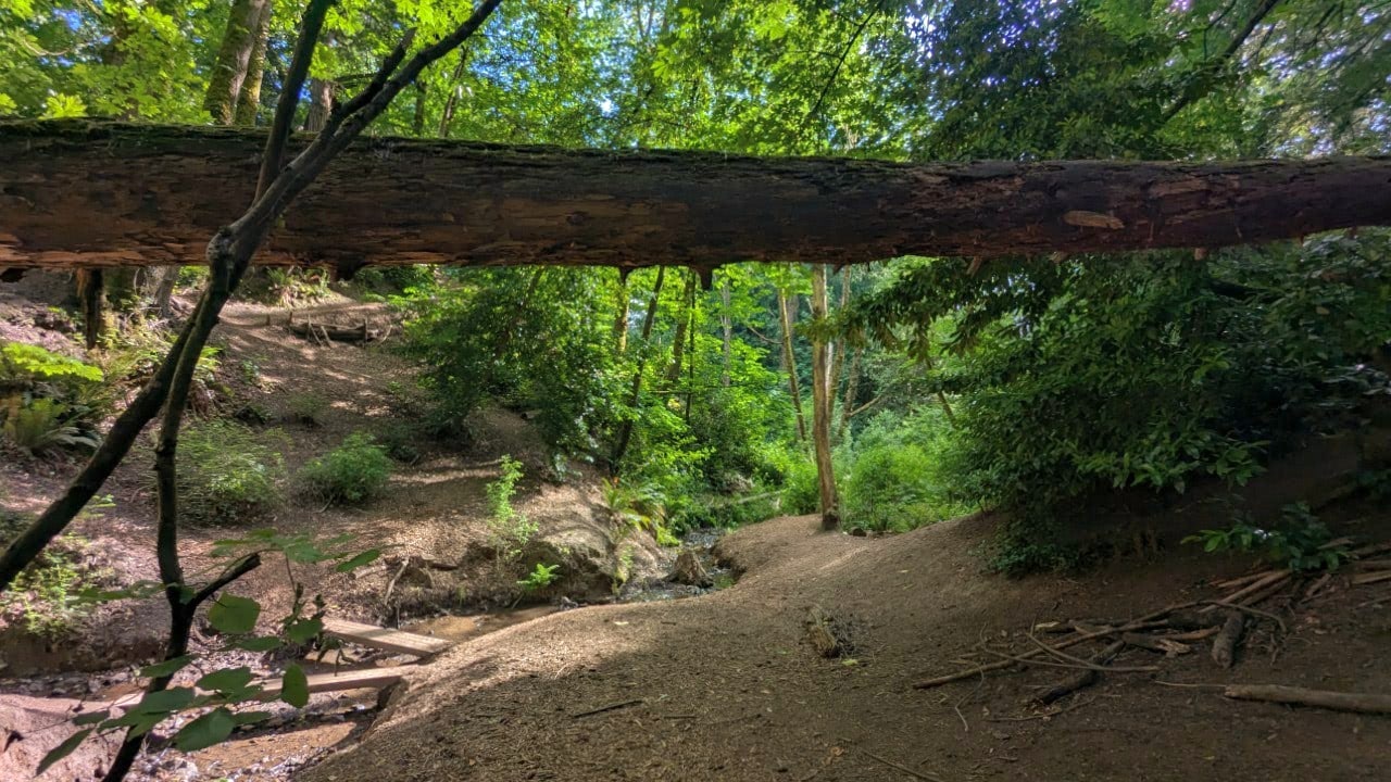 Hillsdale Off-Leash Dog Area - Portland, OR