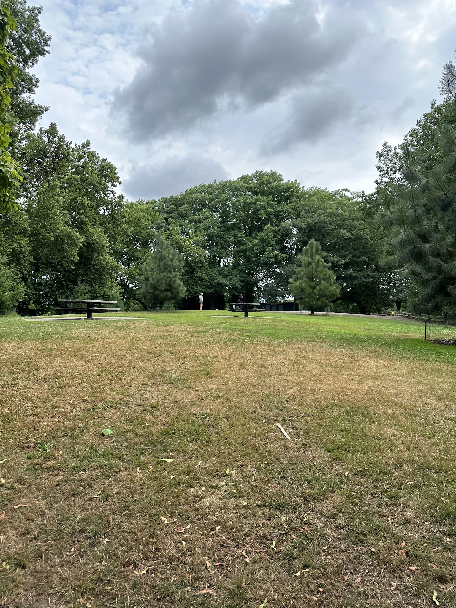 Irving Park Dog Park - Portland, OR