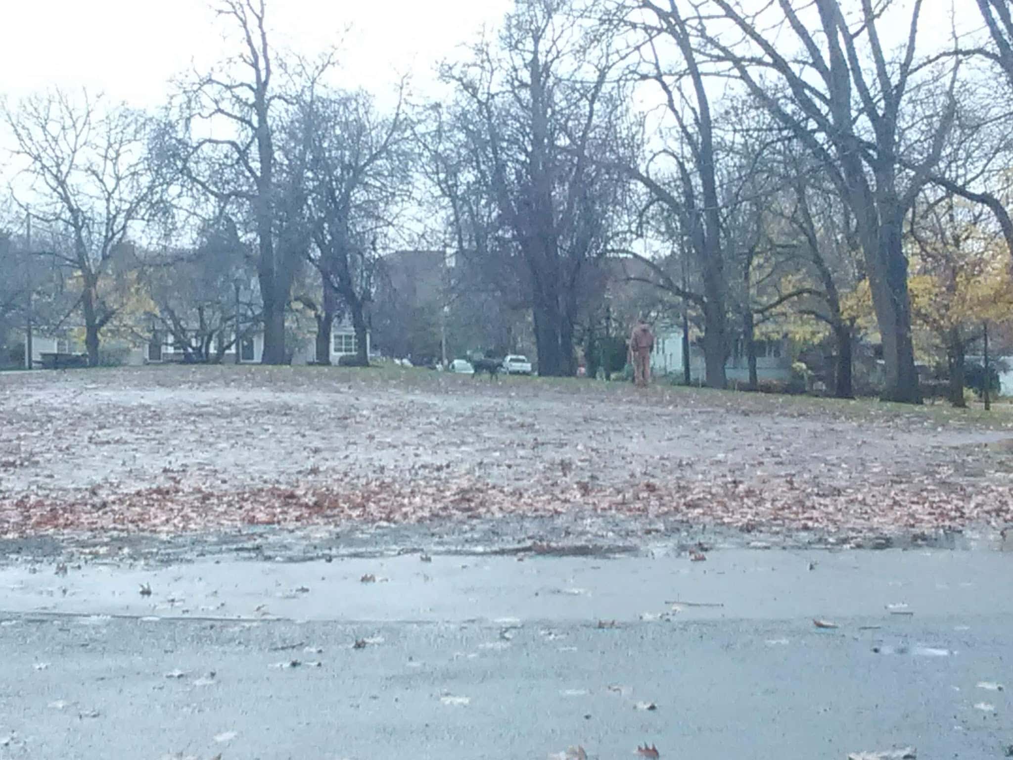 Irving Park Dog Park - Portland, OR