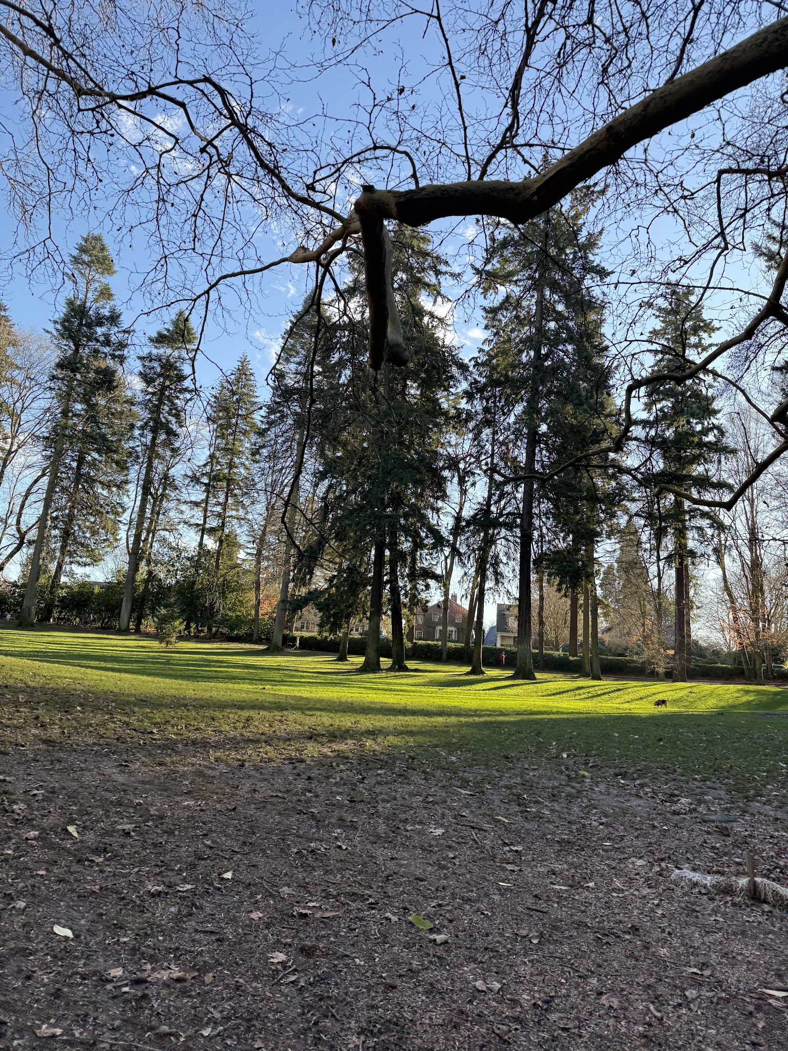 Laurelhurst Off-Leash Dog Area - Portland, OR