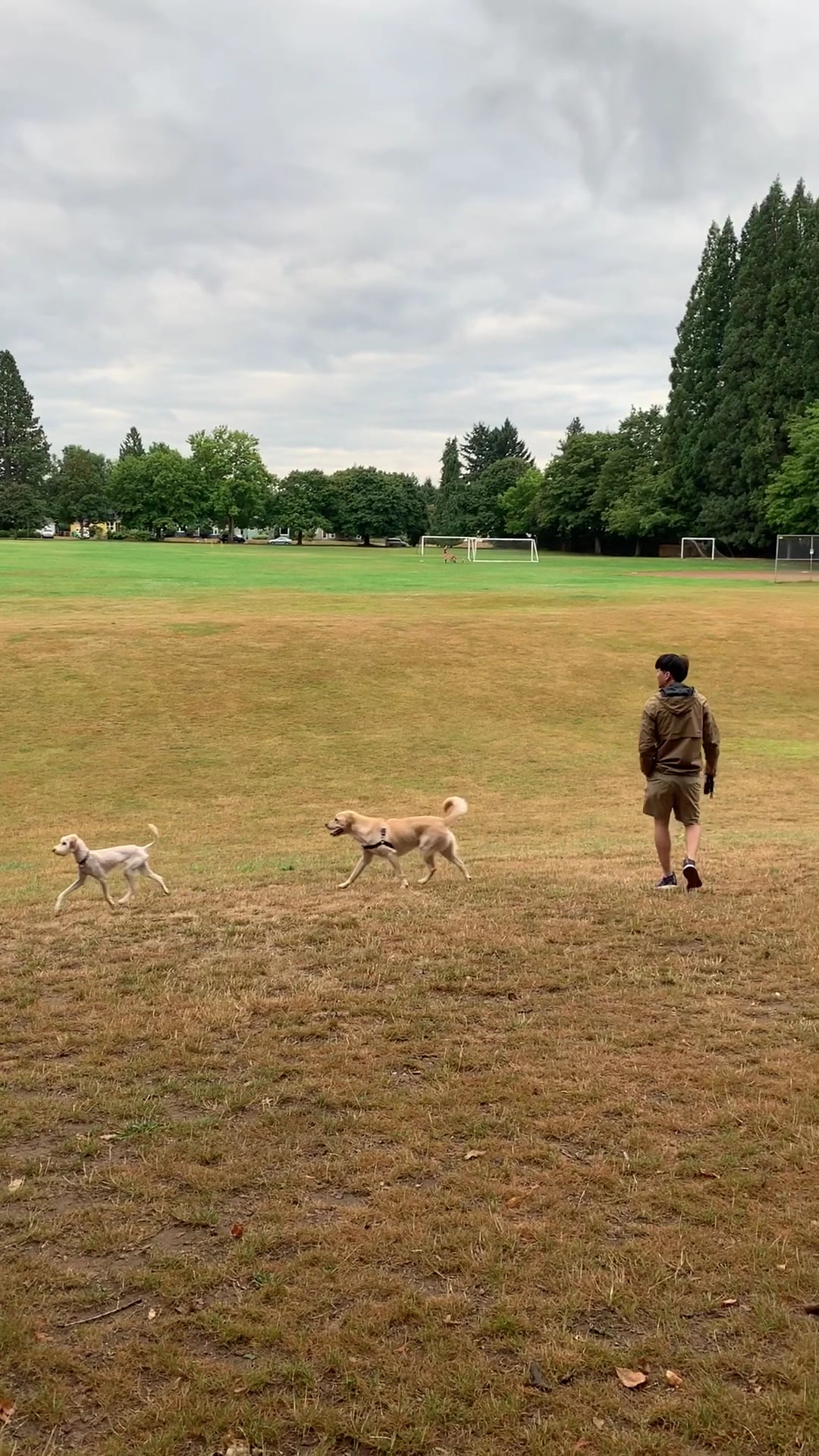 Off-Leash Dog Park - Portland, OR