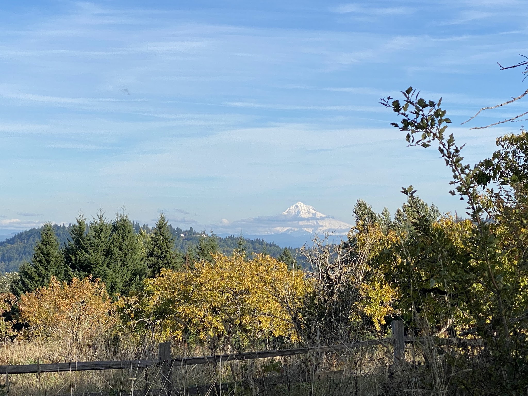 Powell Butte Nature Park - Portland, OR