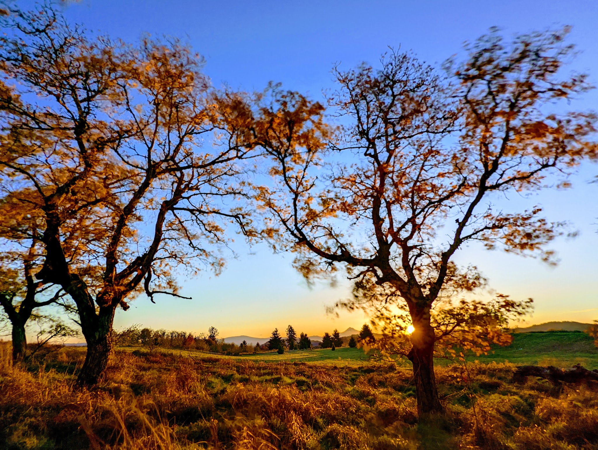 Powell Butte Nature Park - Portland, OR
