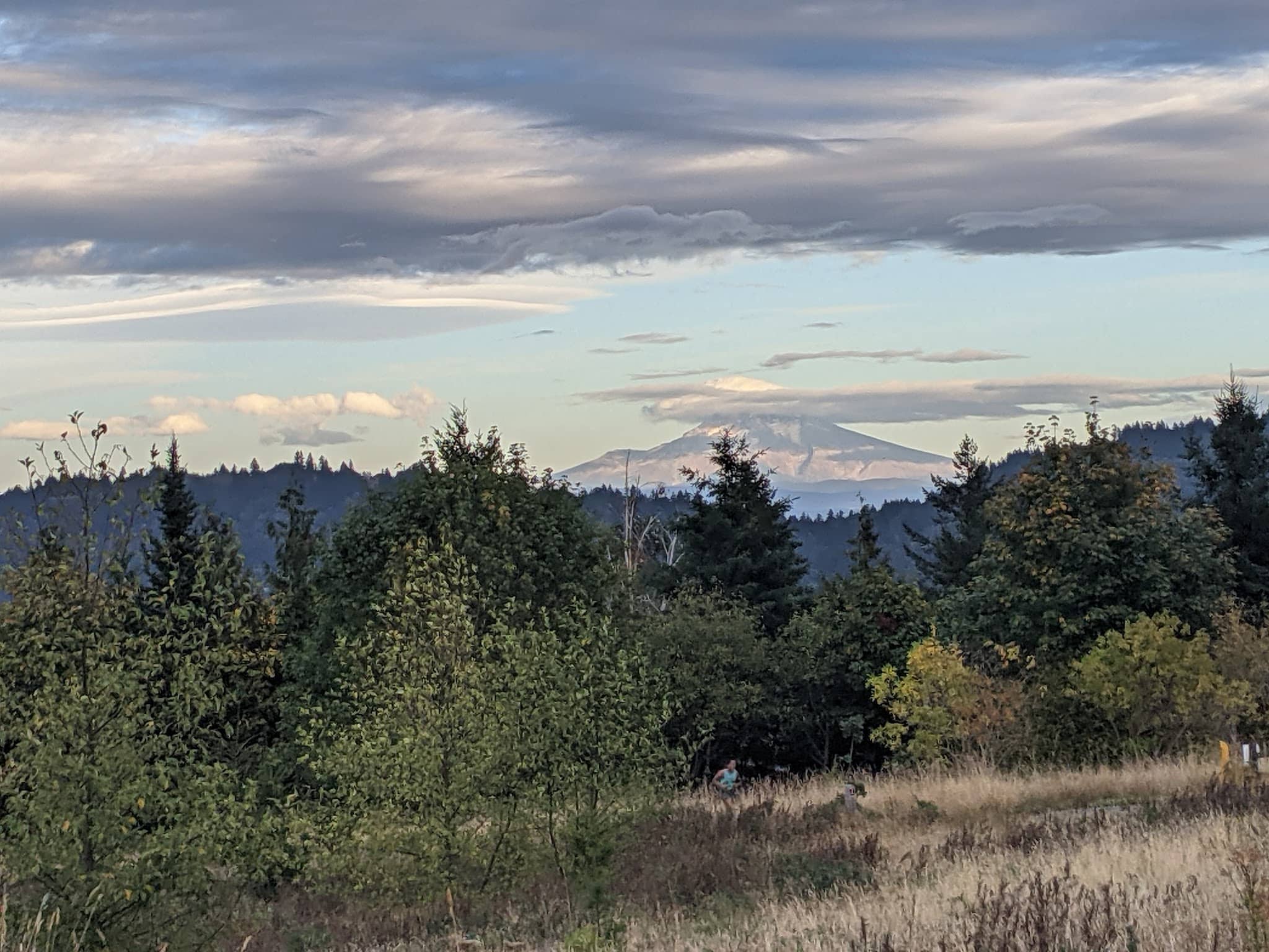 Powell Butte Nature Park - Portland, OR