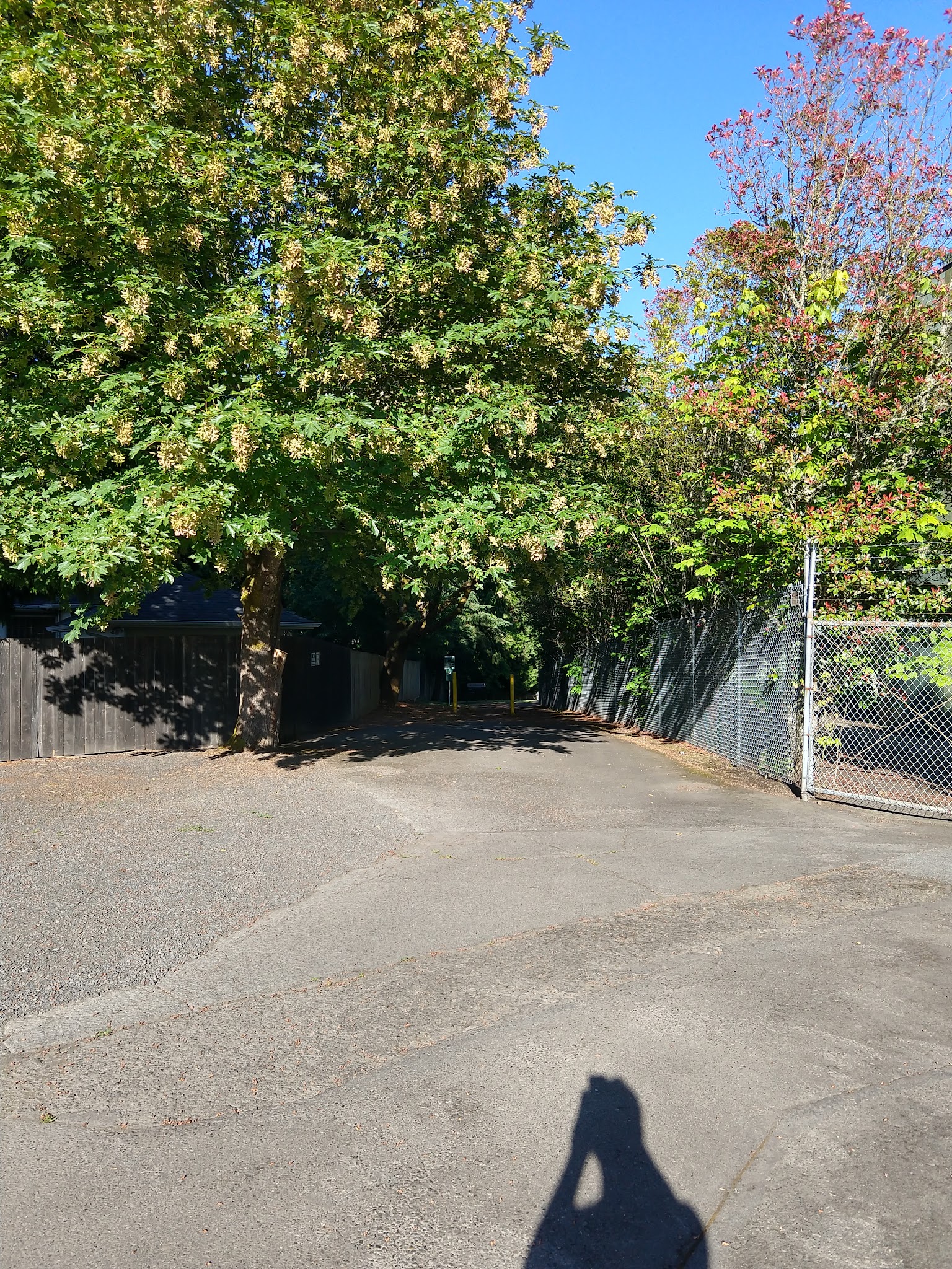 Raleigh Scholls Park - Portland, OR