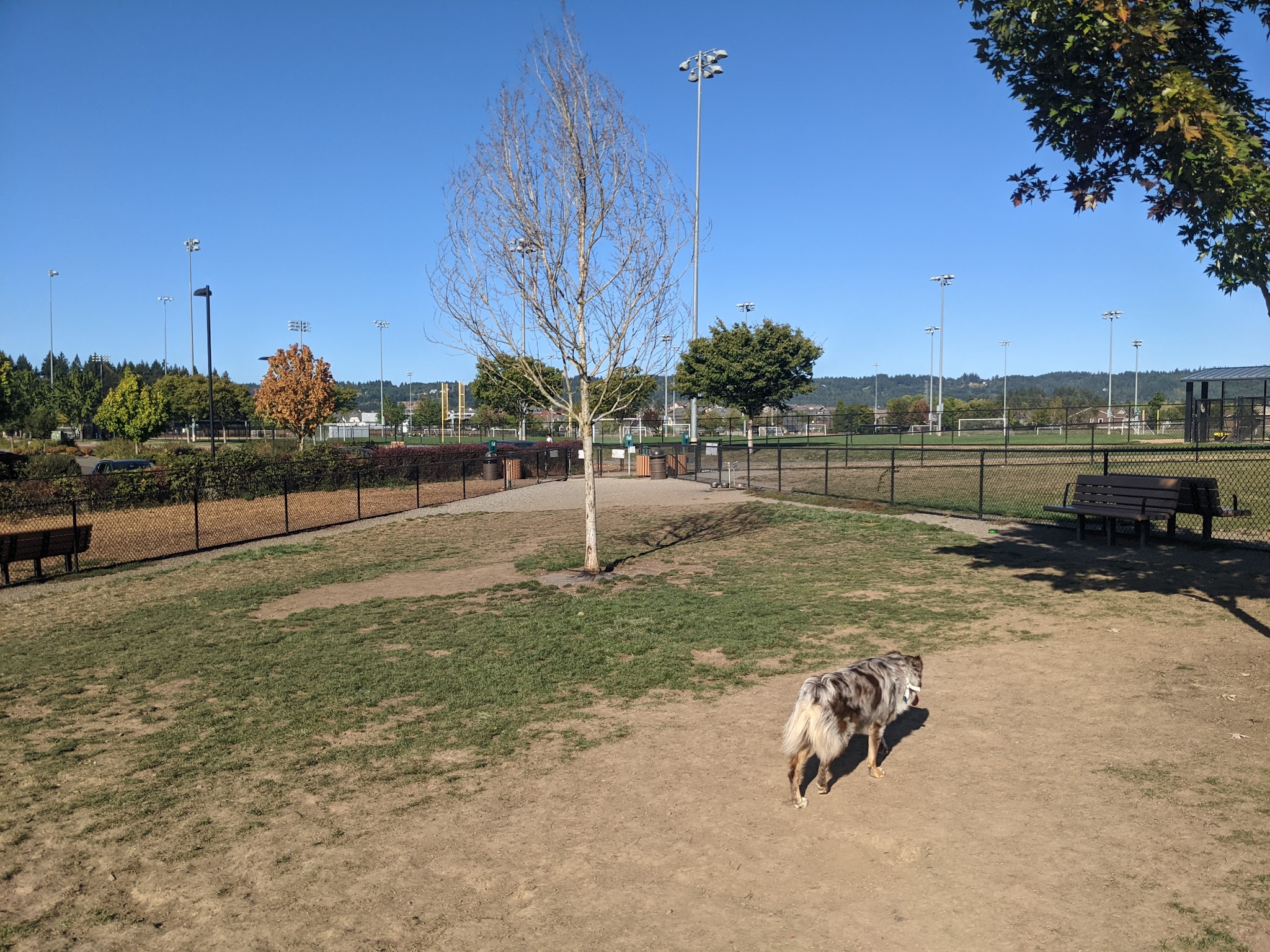Rock Creek Dog Park - Portland, OR