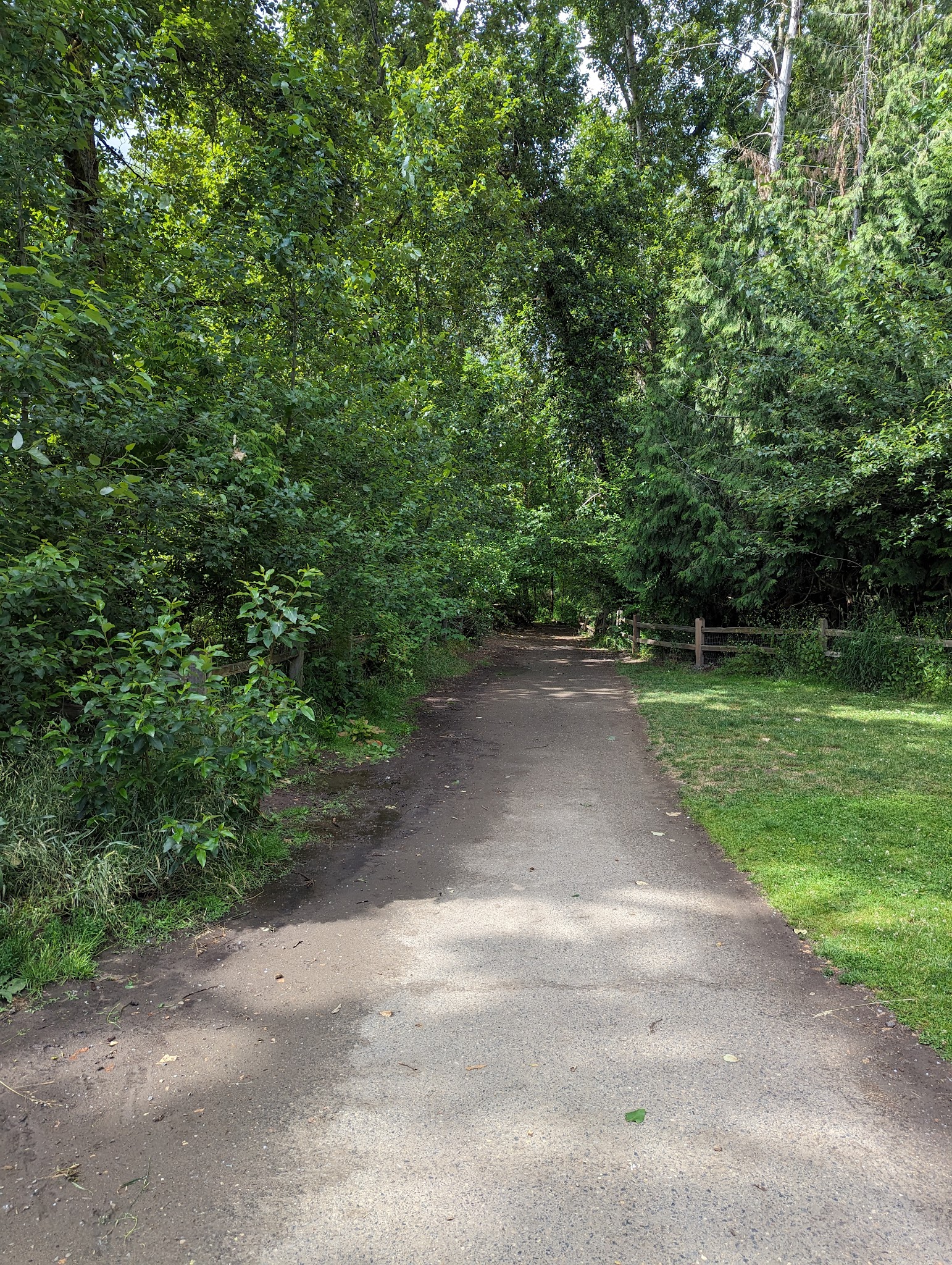 Sellwood Off-Leash Dog Park - Portland, OR